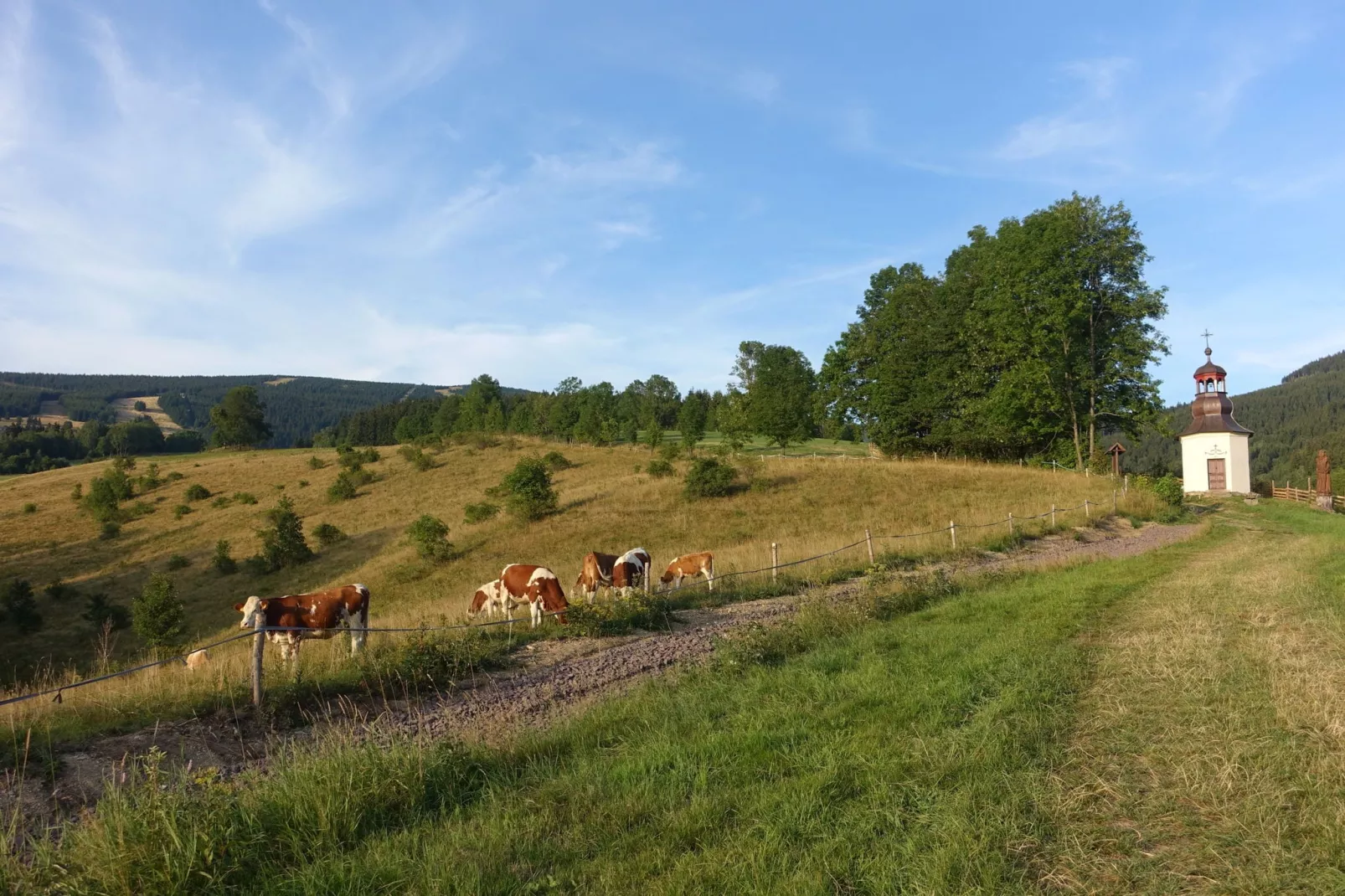 Rokytno-Areas summer 5km