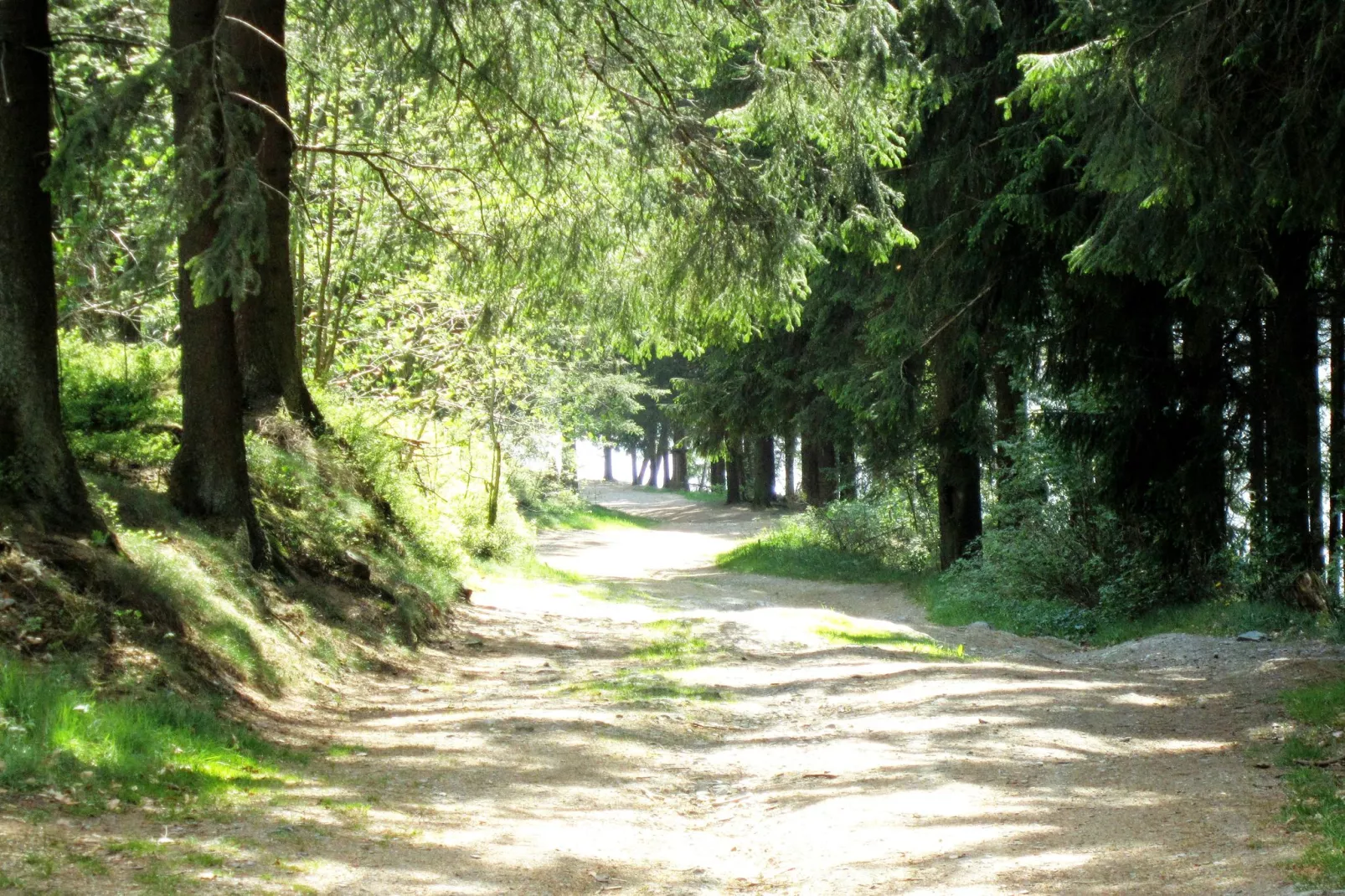 Chalet Orange-Areas summer 1km