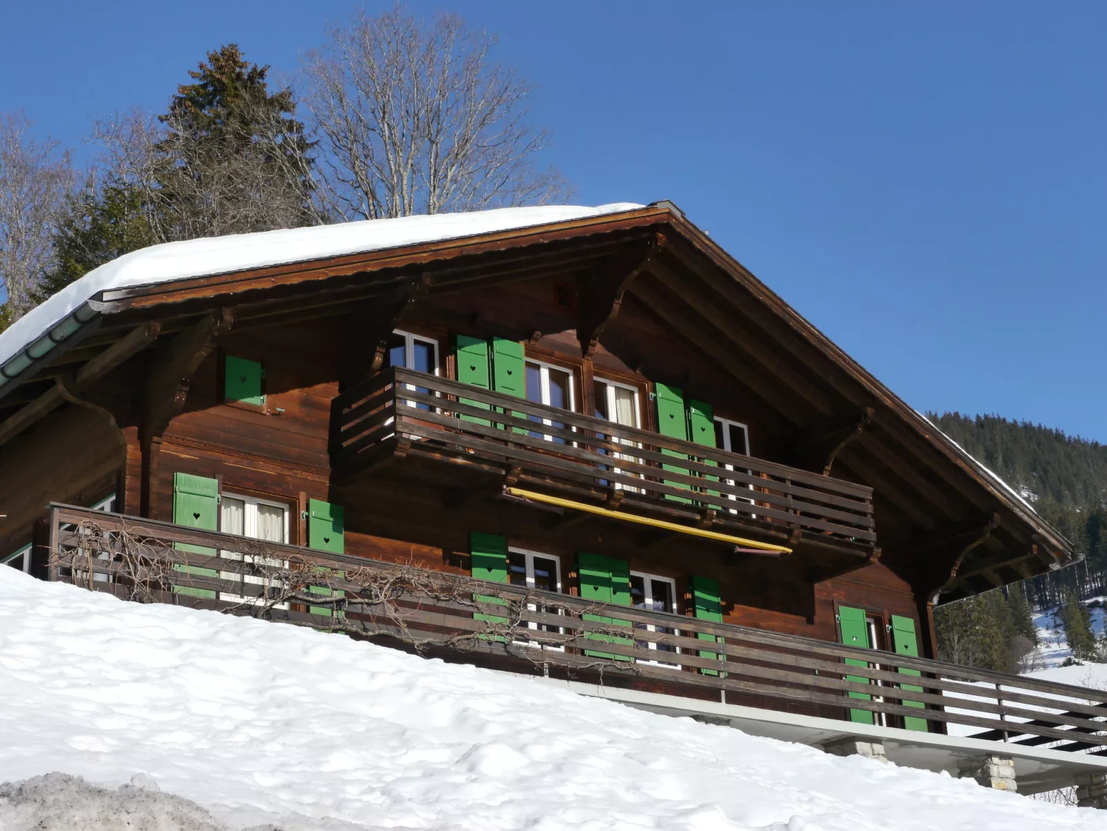 Chalet Pitschun-Outside