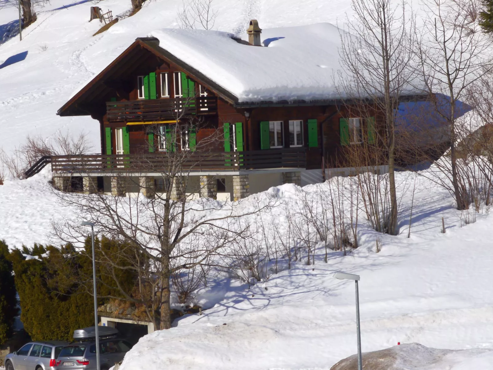 Chalet Pitschun-Outside