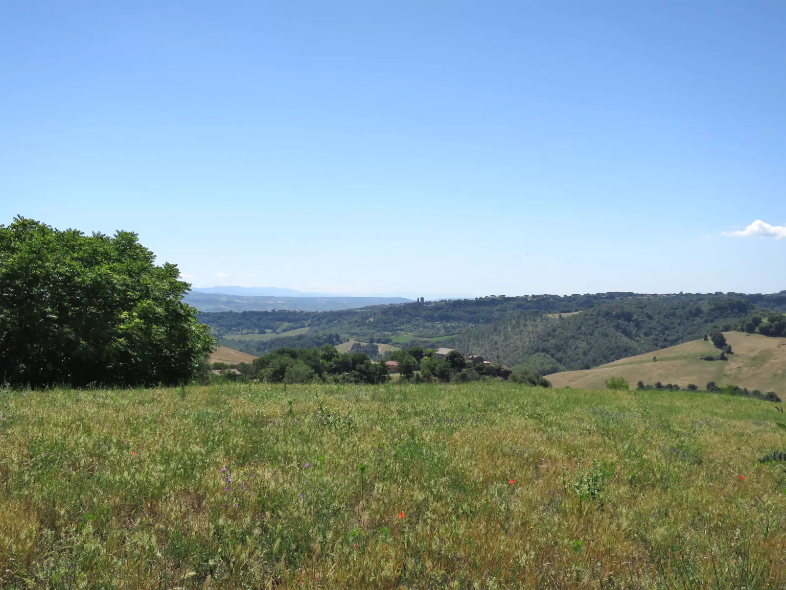 Sociano-Dehors