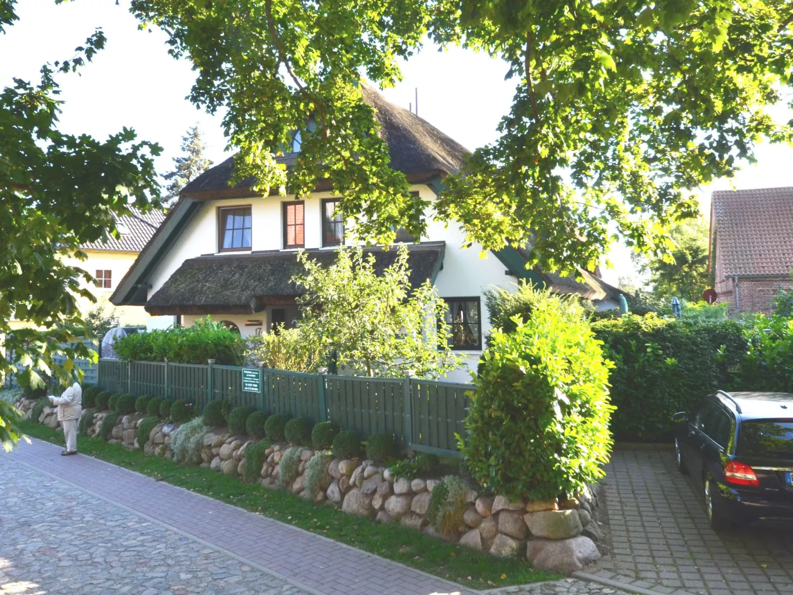 Dünenrose-Outside