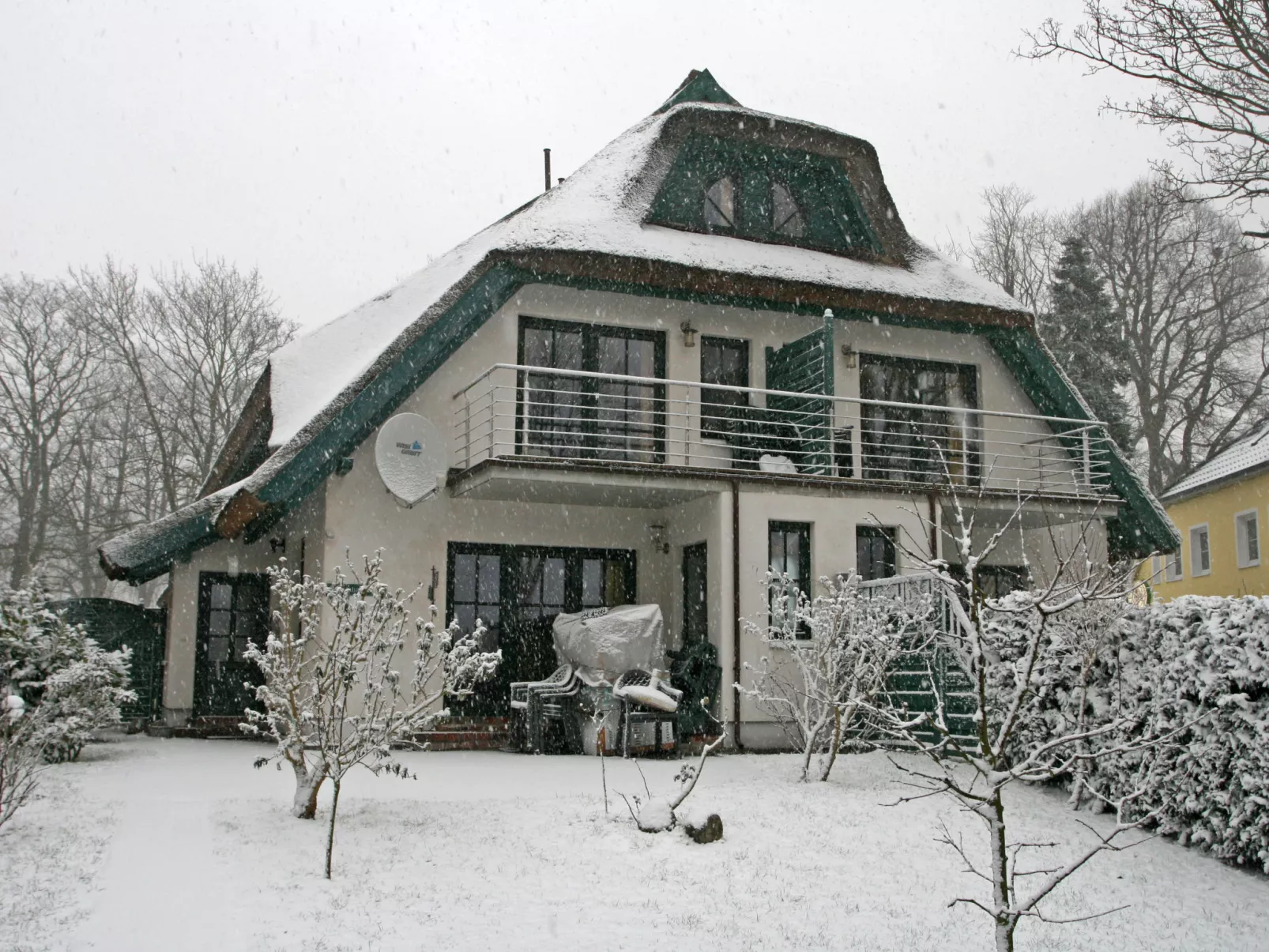Dünenrose-Outside