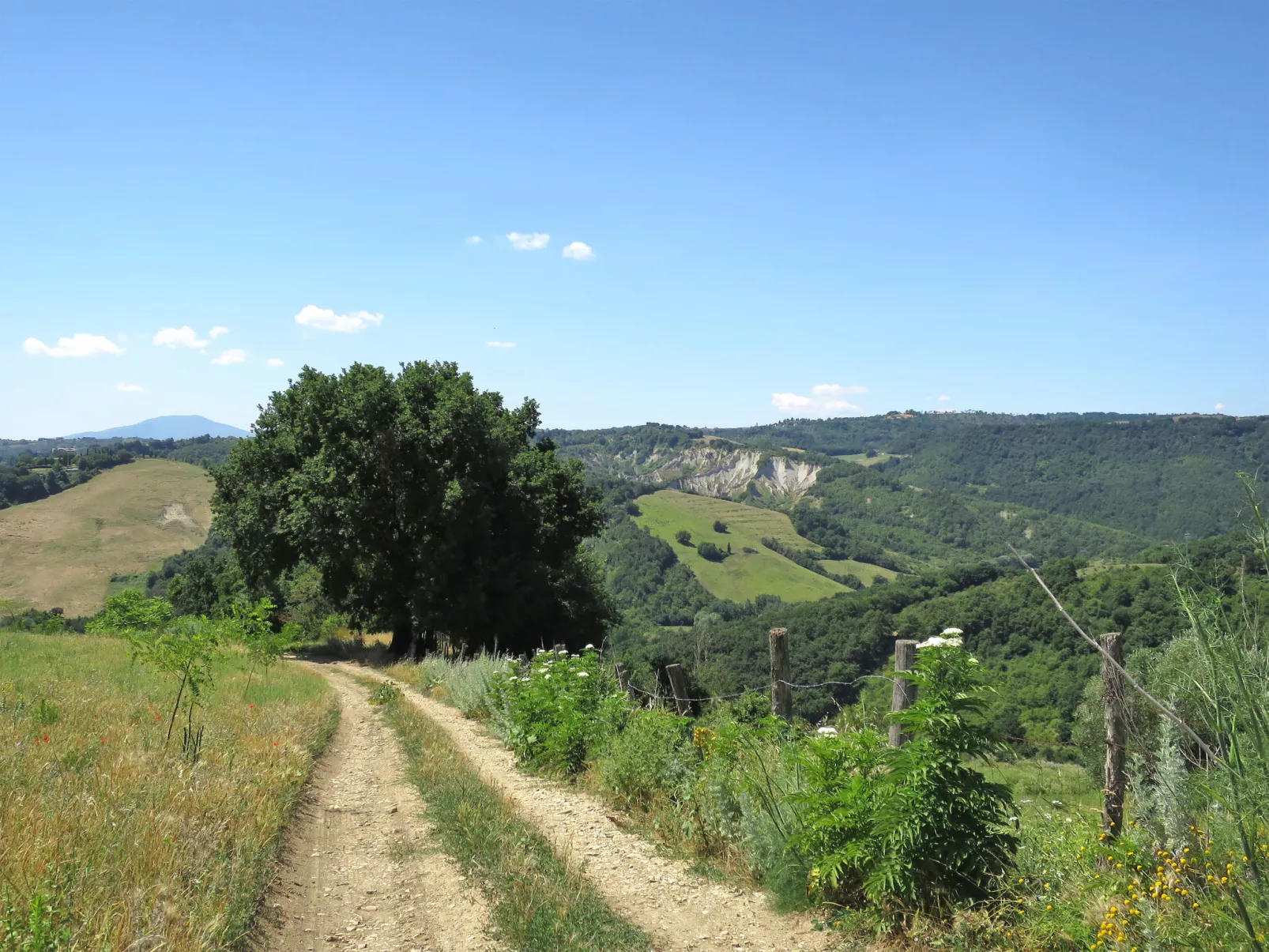 Poggiolo-Dehors