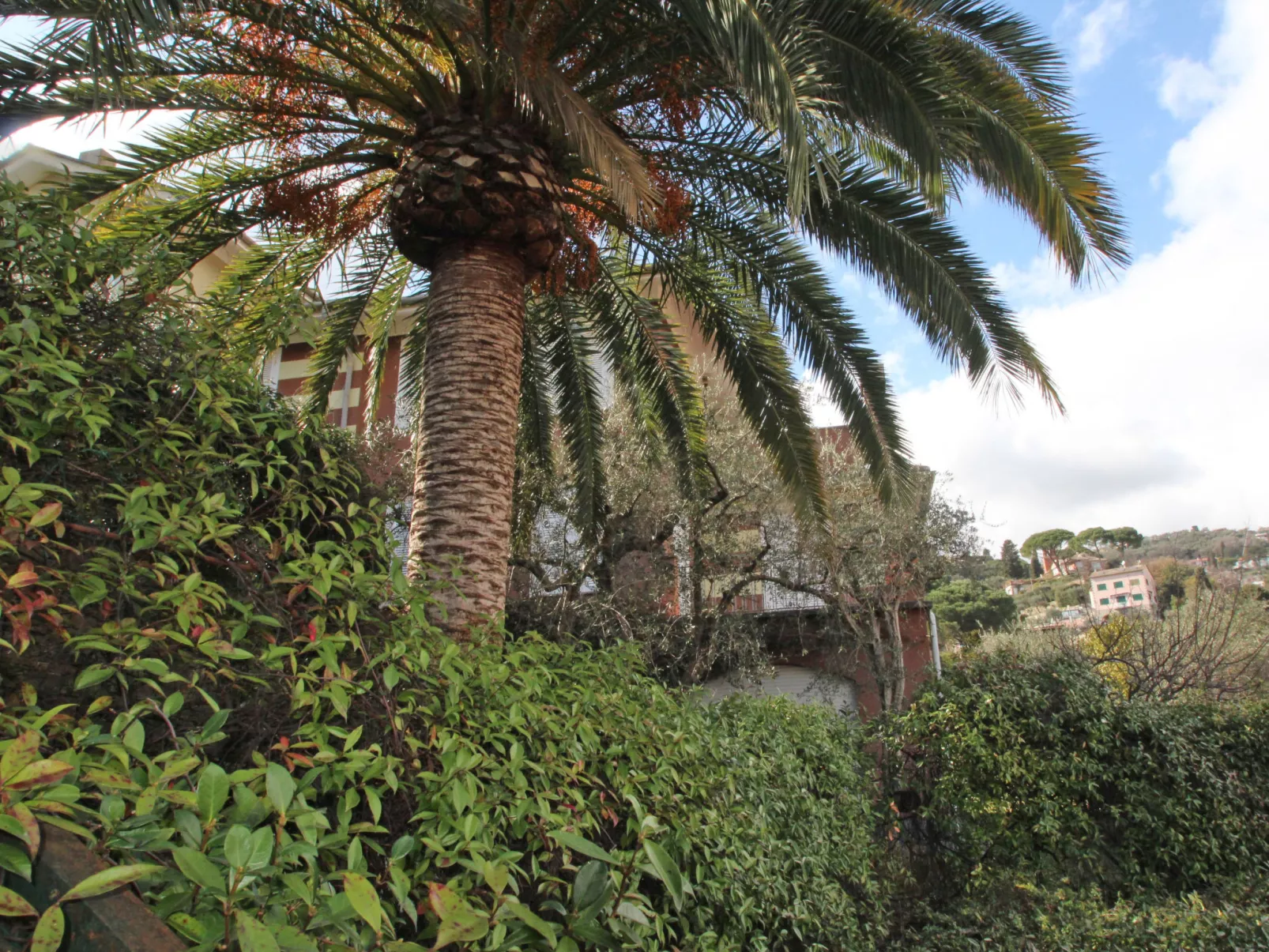 Il Pigno-Outside