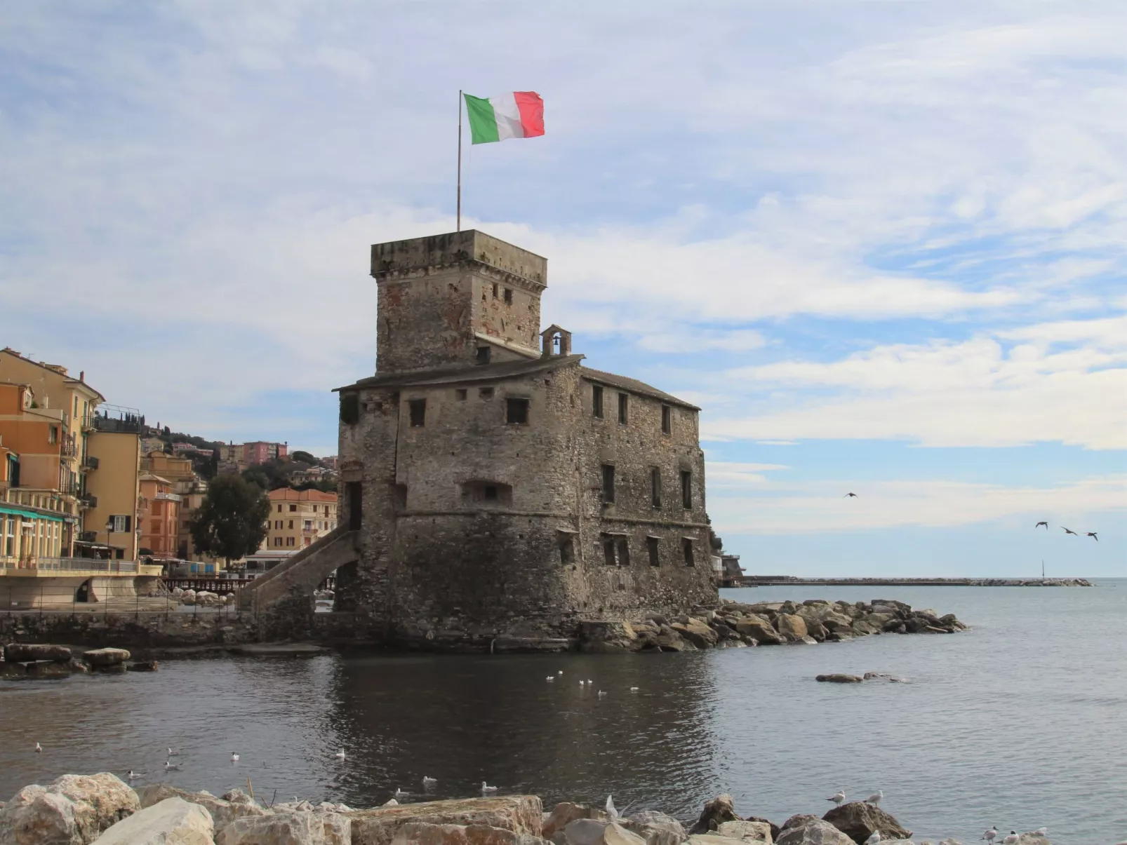 Casa del Leone II-Area