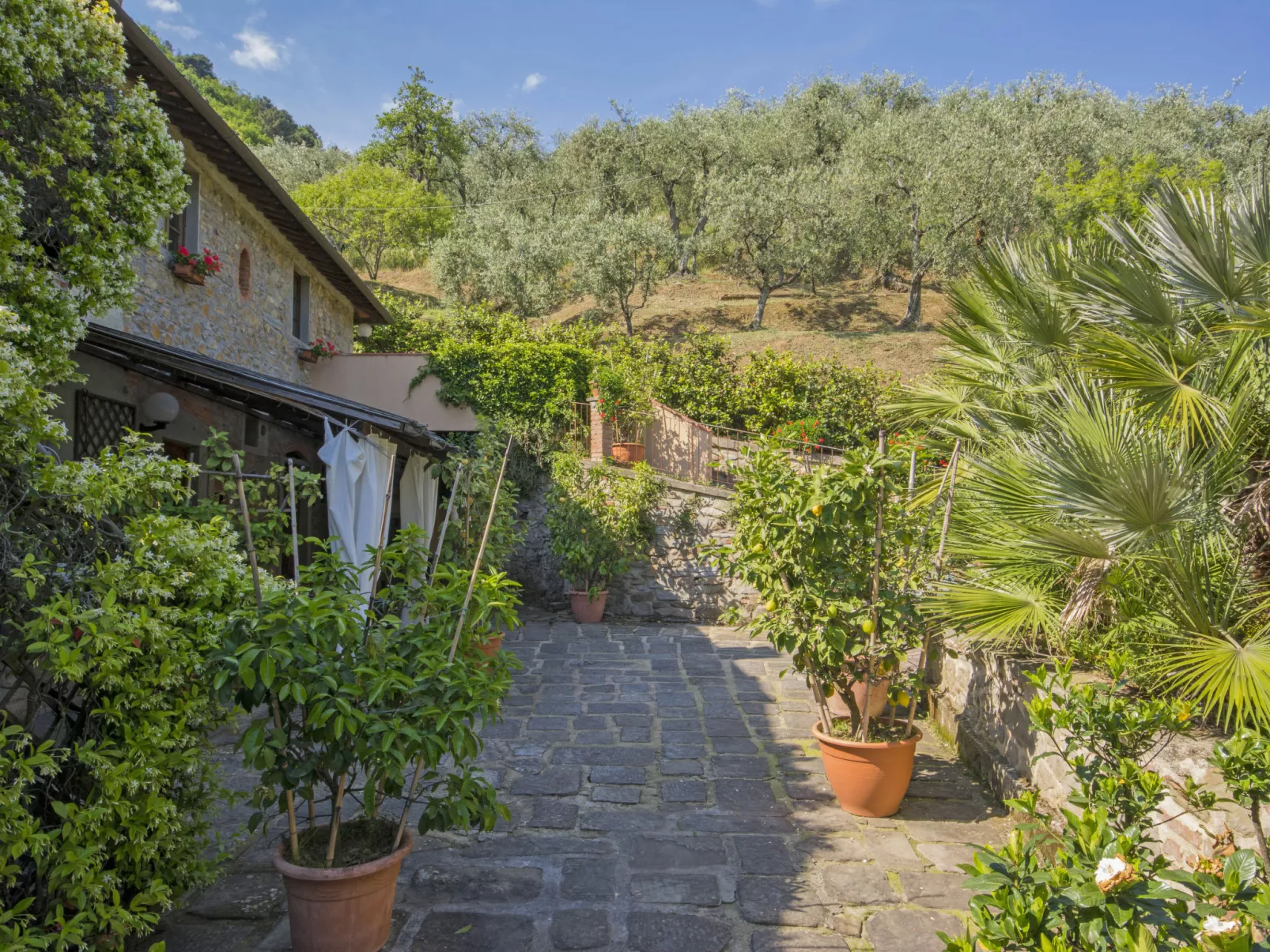 Santa Margherita-Dehors