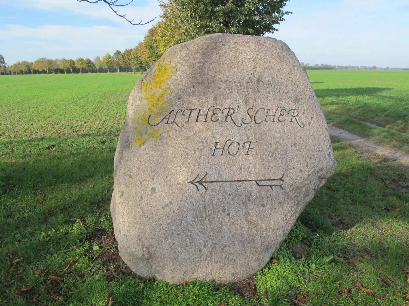 Heide-Dedans