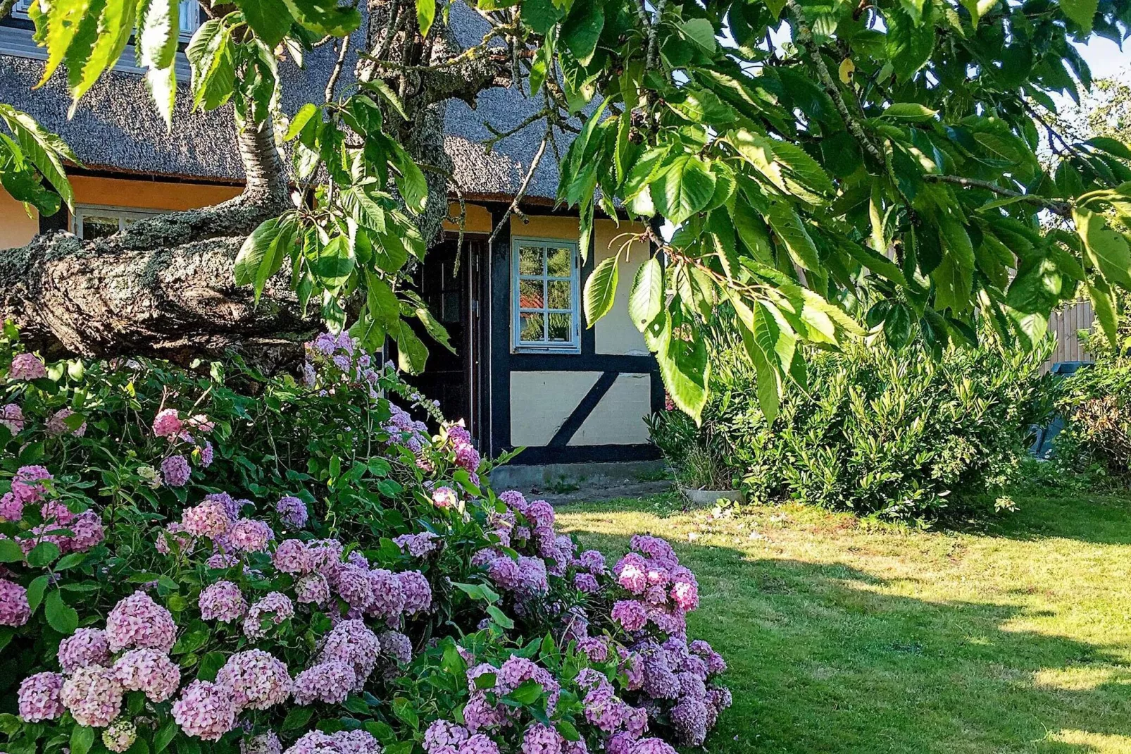 Idyllic Countryside Retreat-By Traum-Outdoor