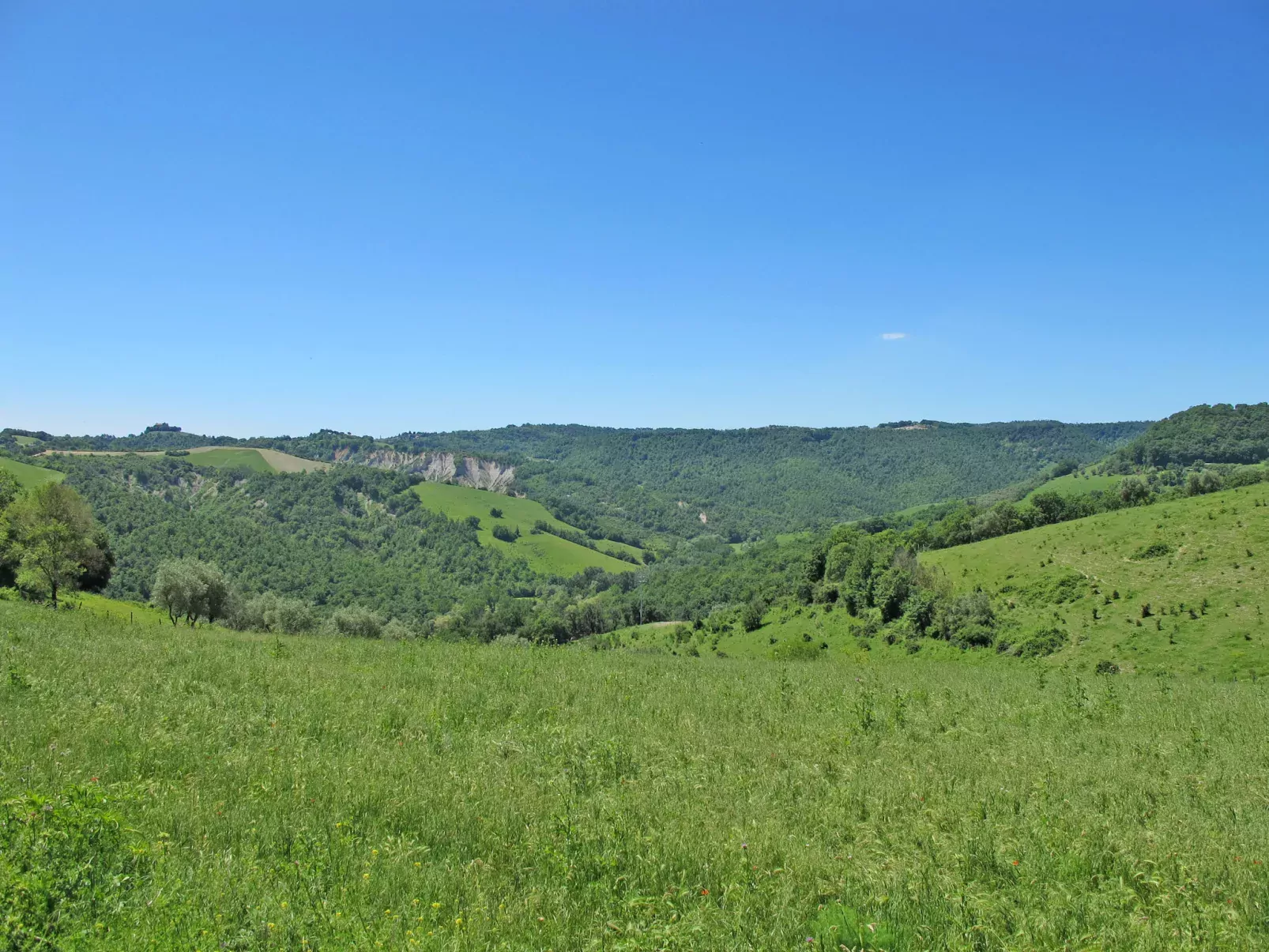 Sociano-Dehors
