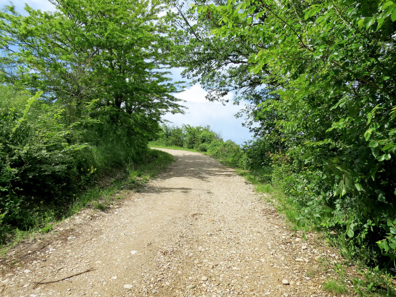 Sociano-Dehors