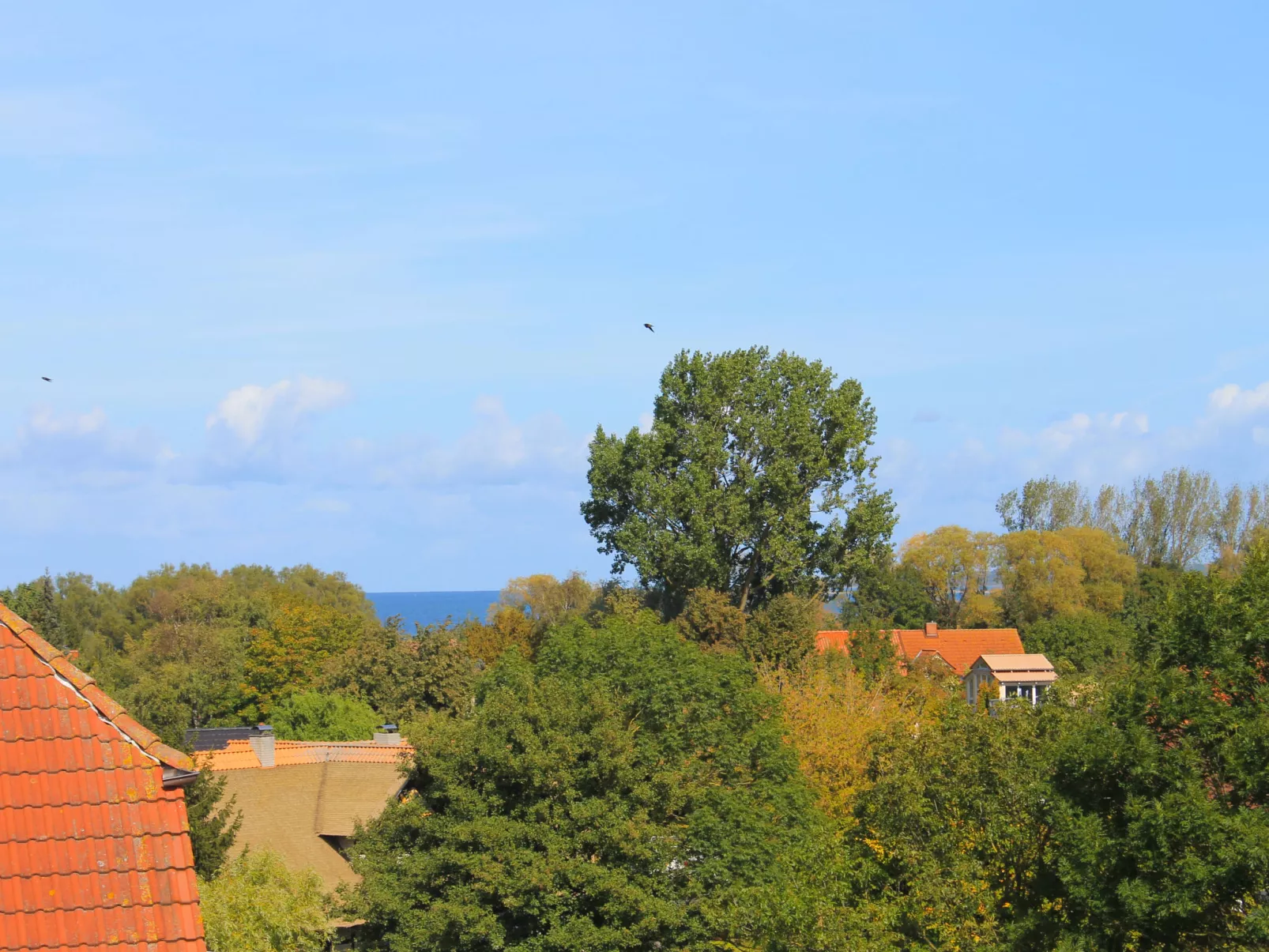 FIP-Ferienpark (Insel Poel)-Outside