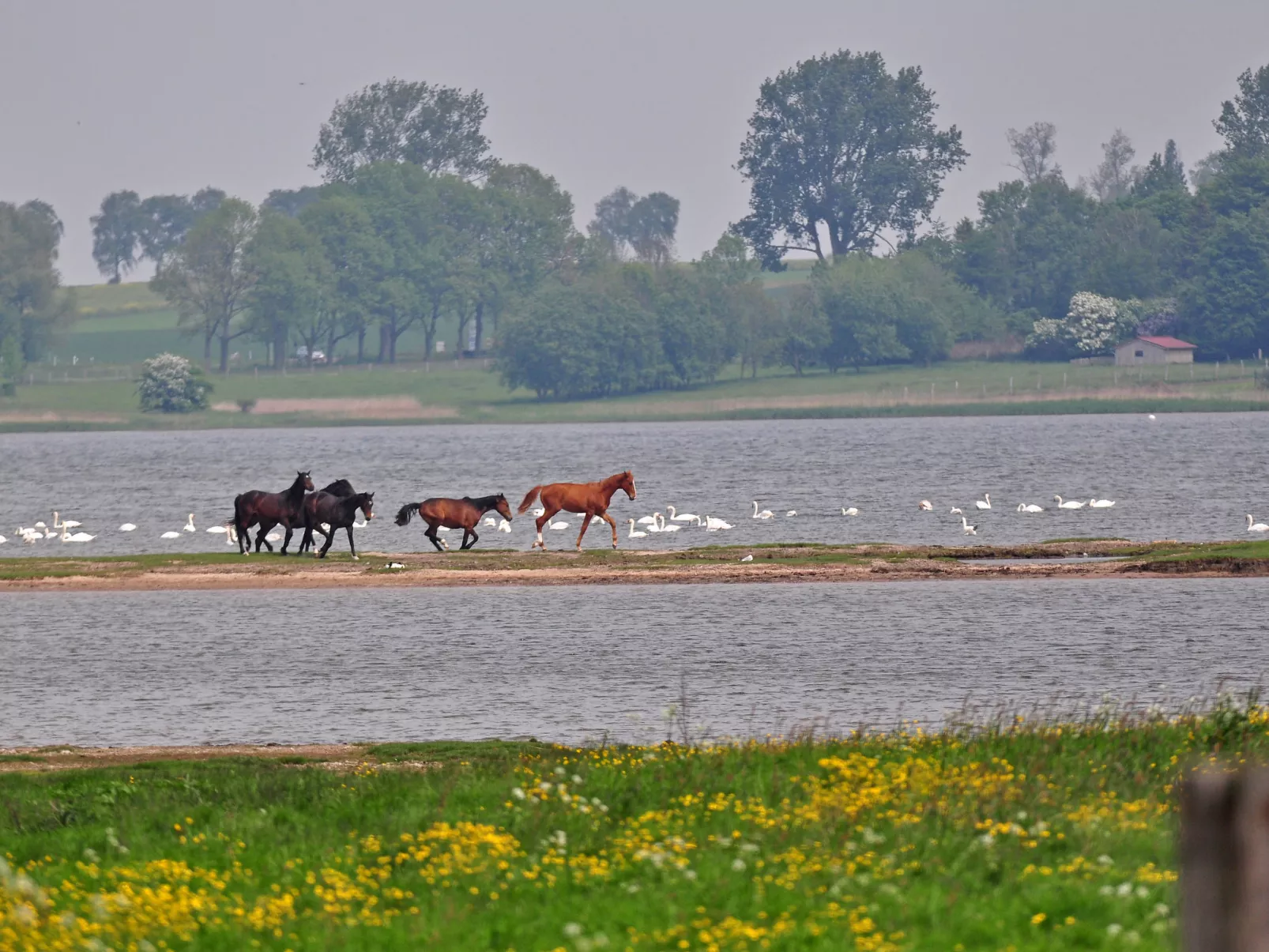 FIP-Ferienpark (Insel Poel)-Area