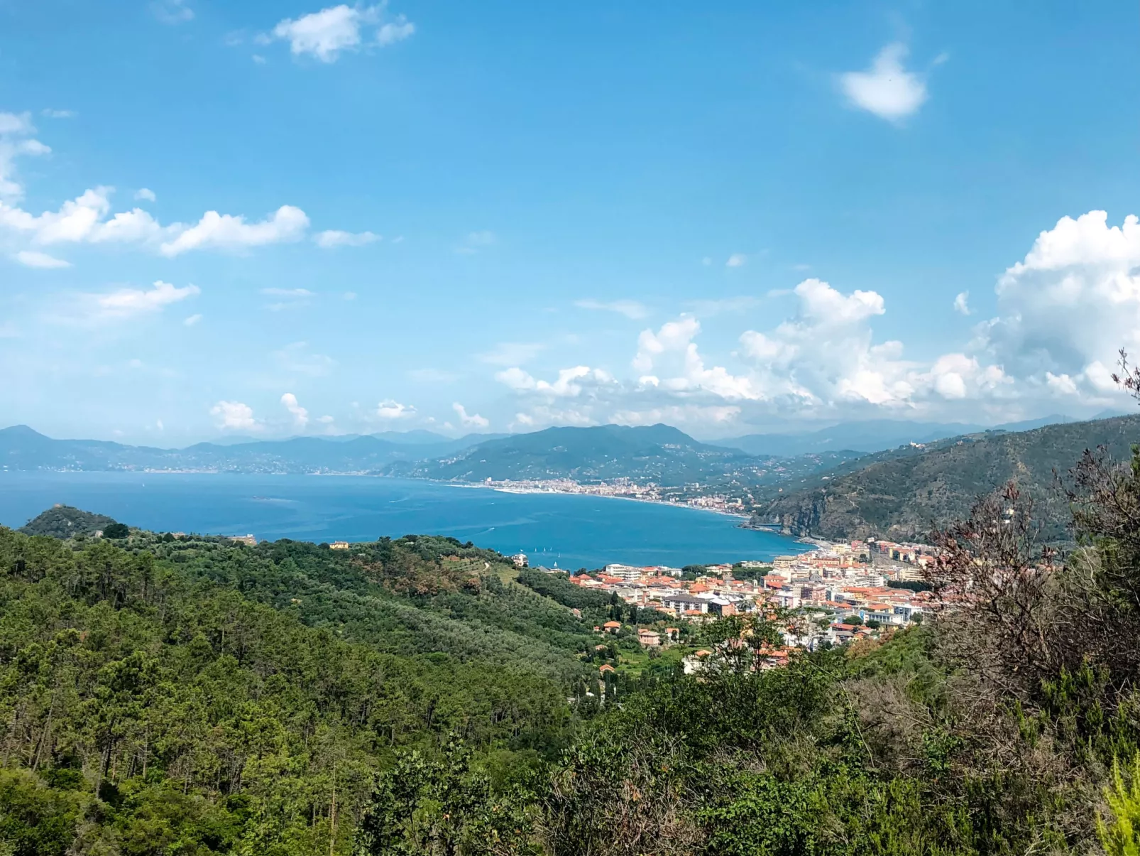 Brunetta-Area