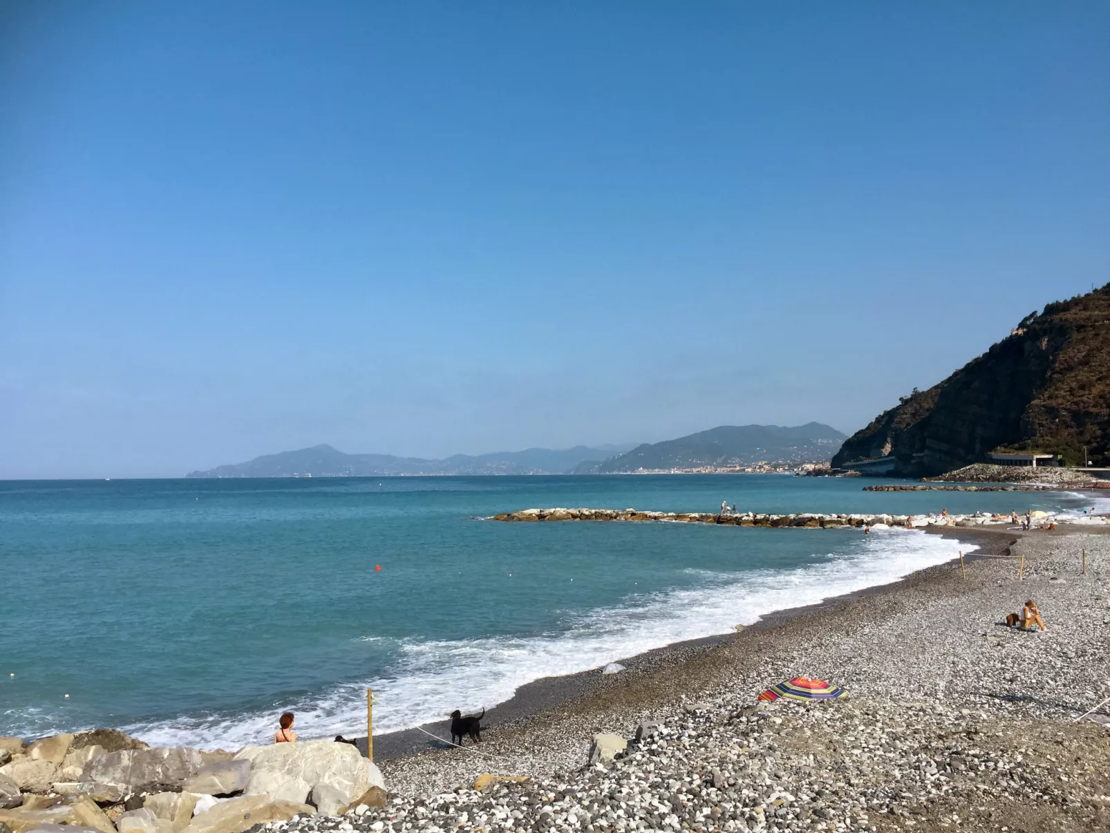 Brunetta-Area