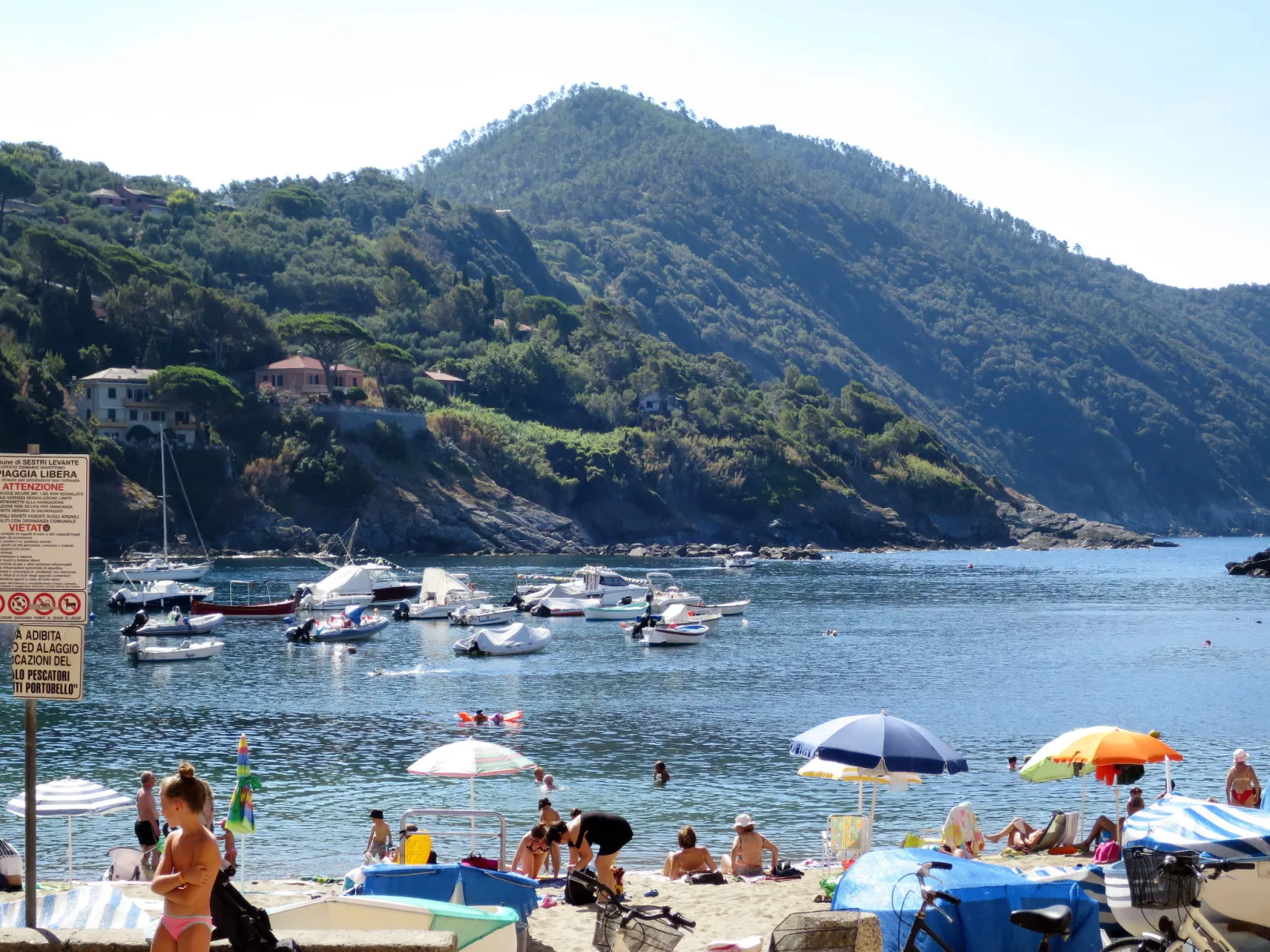 La Gerbera-Area