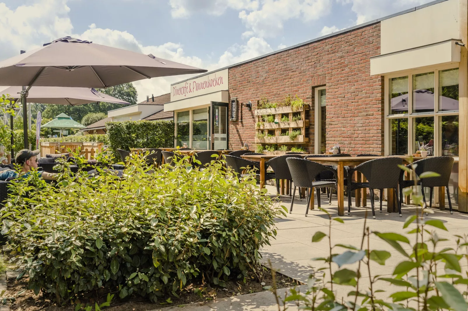 Vakantiepark Mölke 3-Park facilities