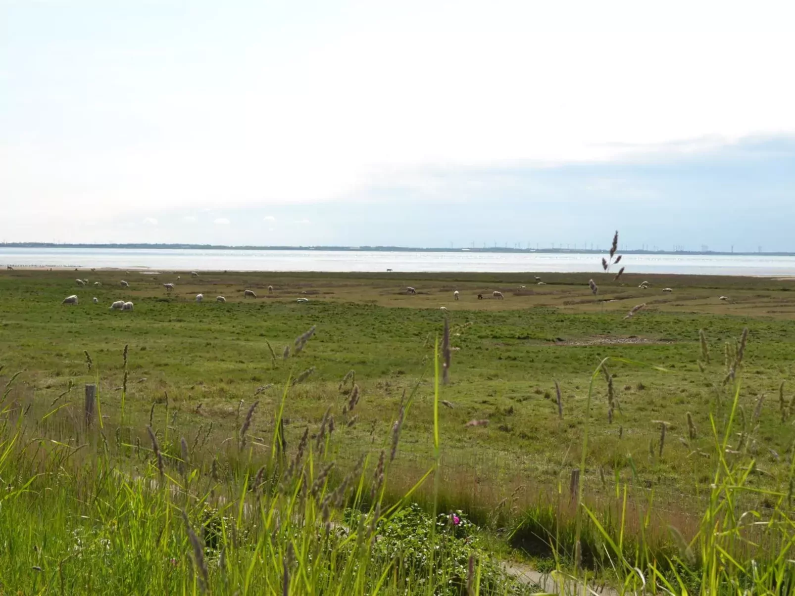 "Gertruda" - 2.3km from the sea-Outside