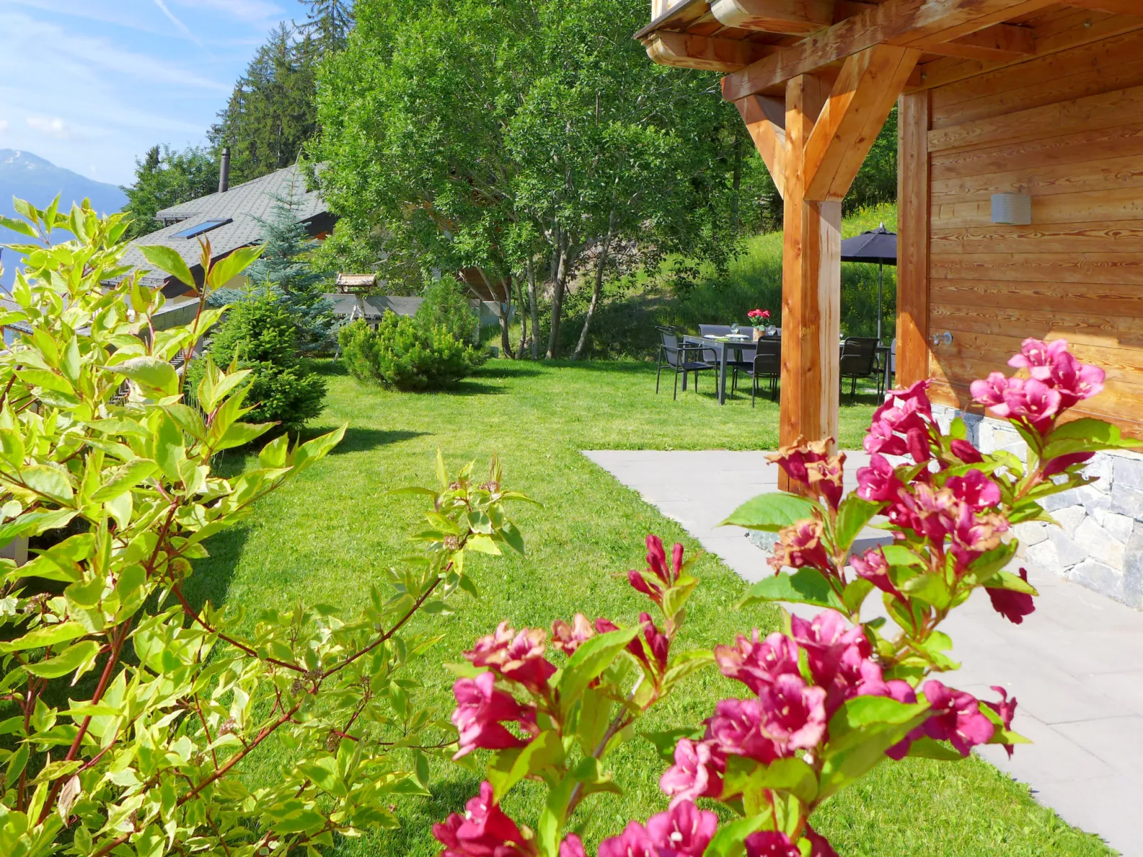 Chalet Astoria-Outside