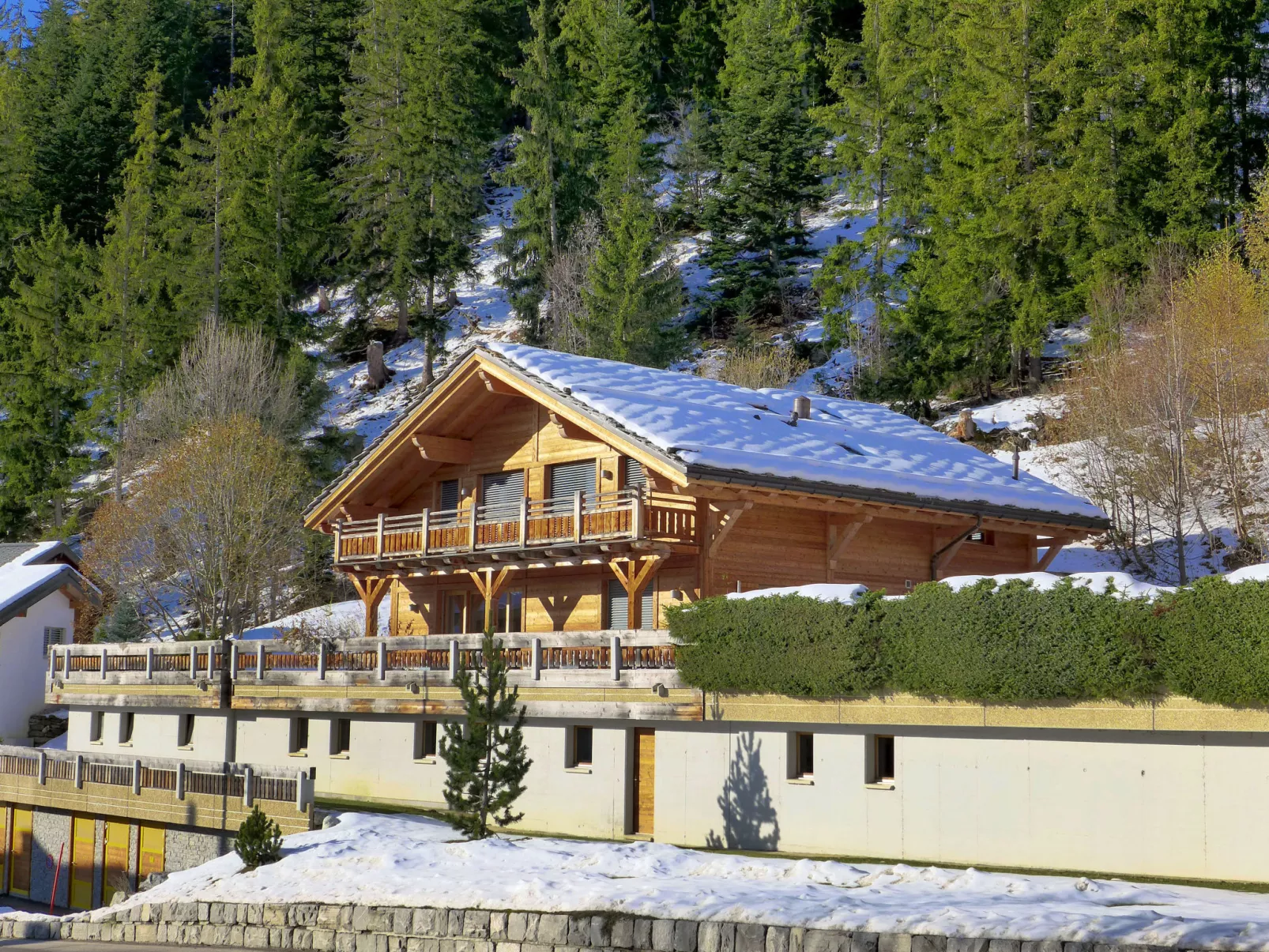 Chalet Astoria-Outside