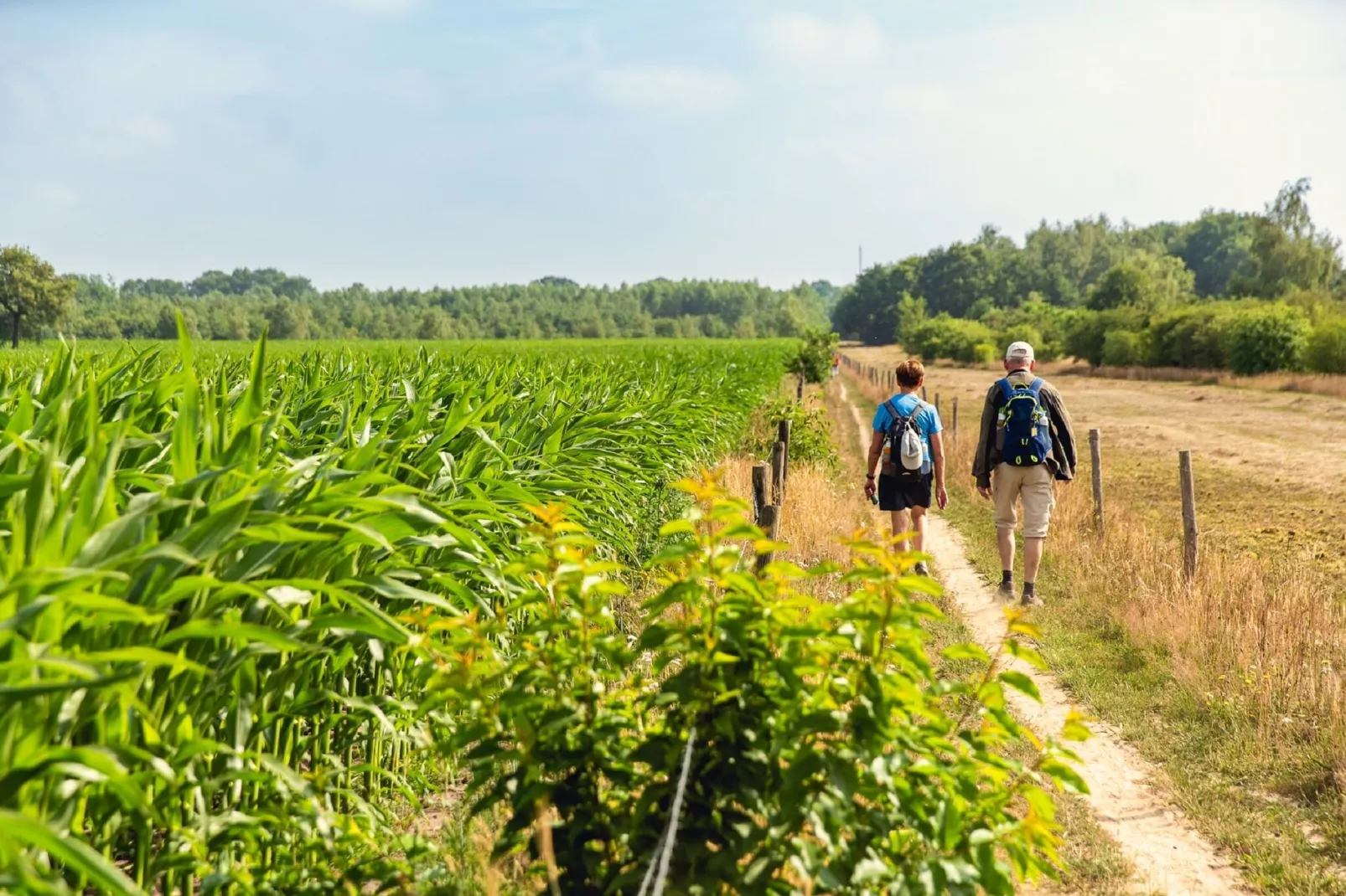 Vakantiepark Mölke 3-Areas summer 1km
