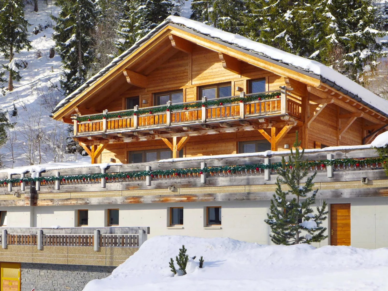 Chalet Astoria-Outside