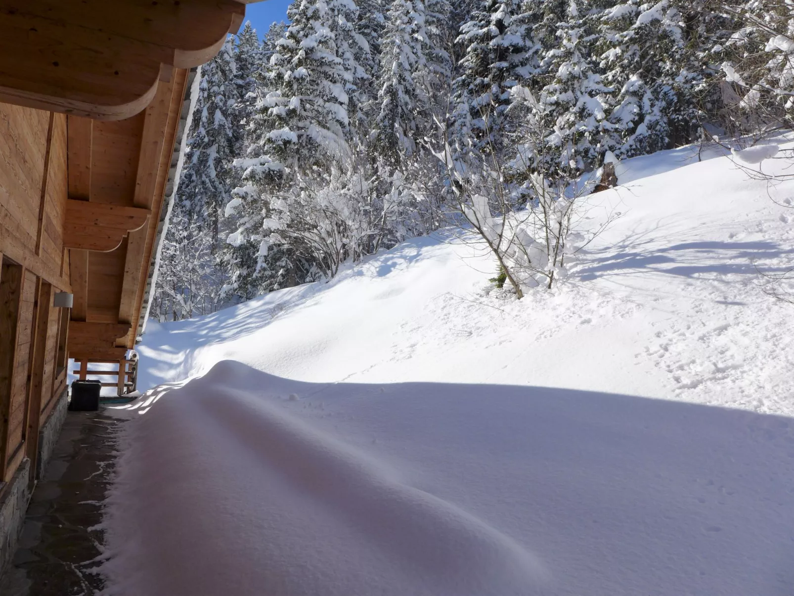 Chalet Astoria-Outside