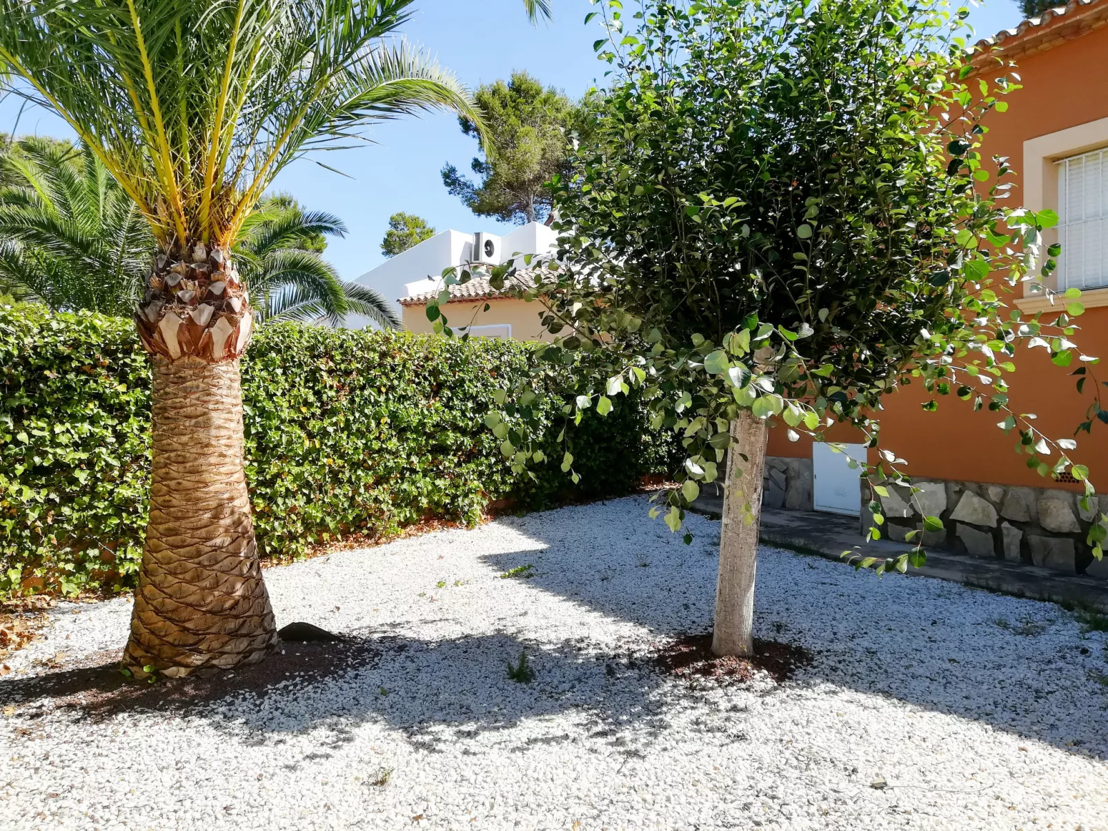 Monte Verde-Outside