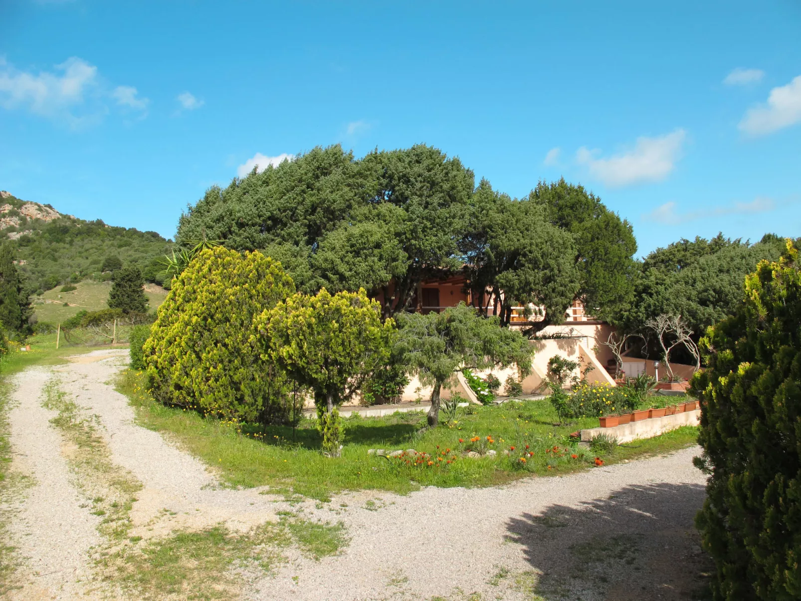 Michelina (PAU112)-Outside