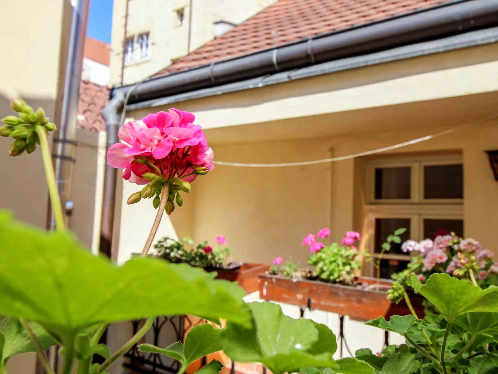Prague Castle Duplex-Outside