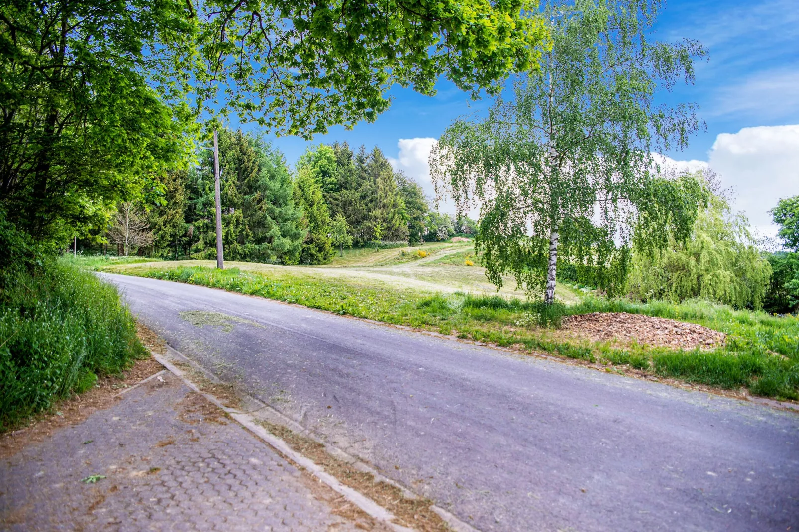 Het Zilver Vosje-Areas summer 1km