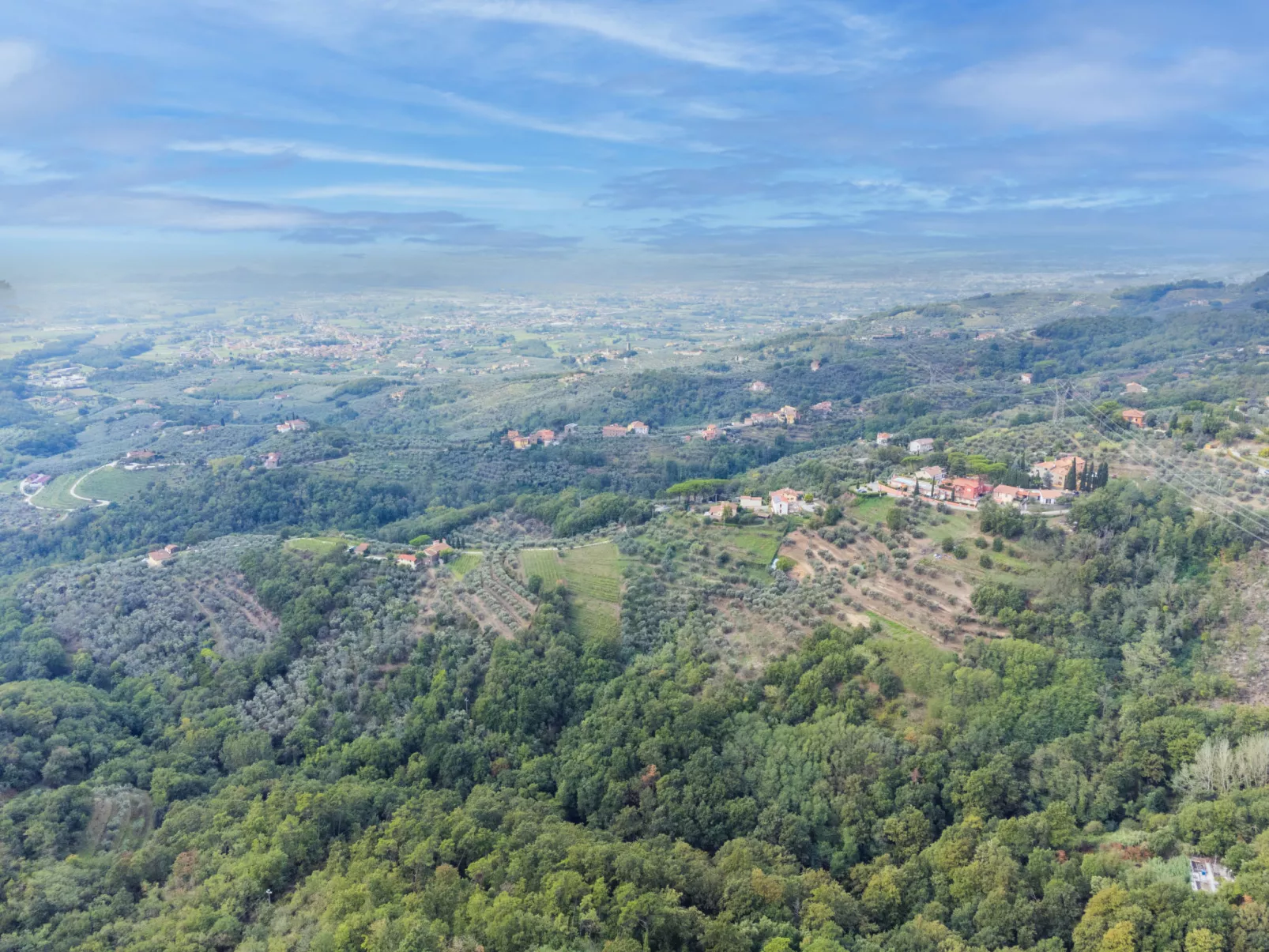Agrifoglio-Outside