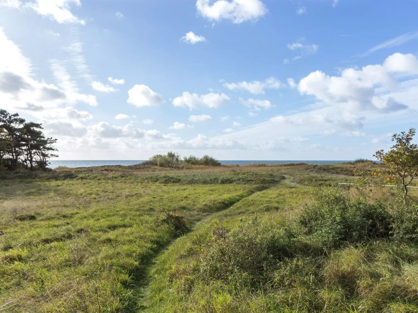 "Kajsa" - 50m from the sea-Outside