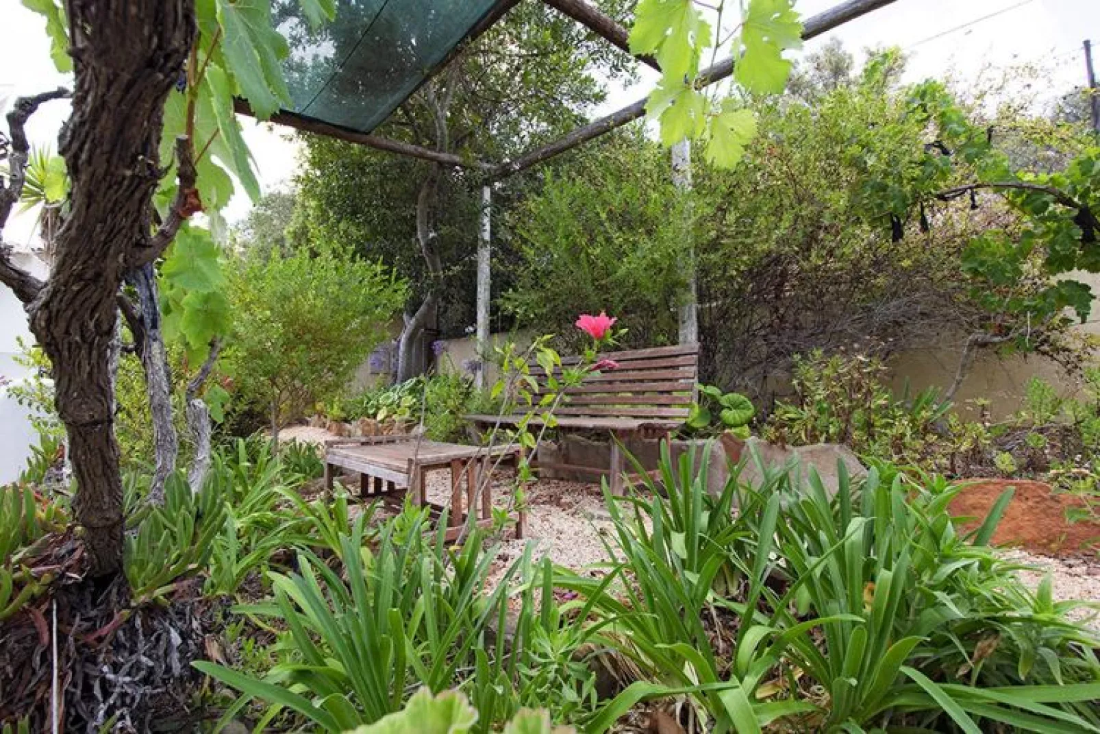 Holiday home in Lagos // max 6 Pers-Gardens summer