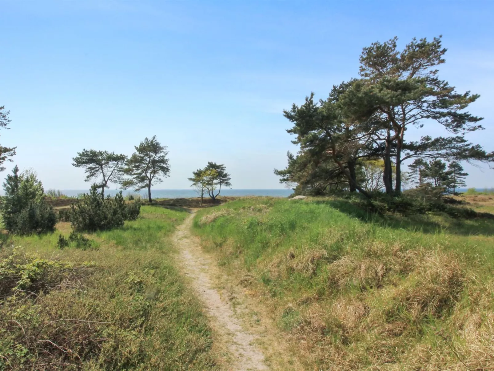 "Essi" - 300m from the sea-Outside