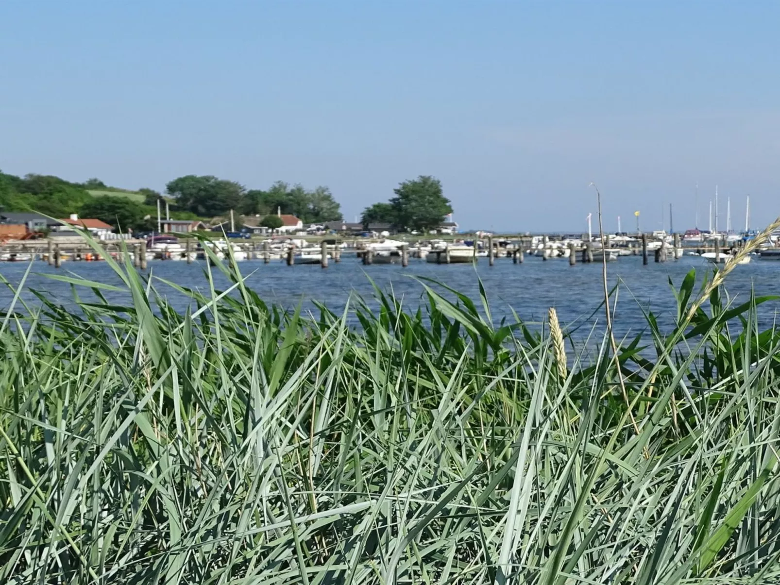 "Veselin" - 100m from the sea-Outside