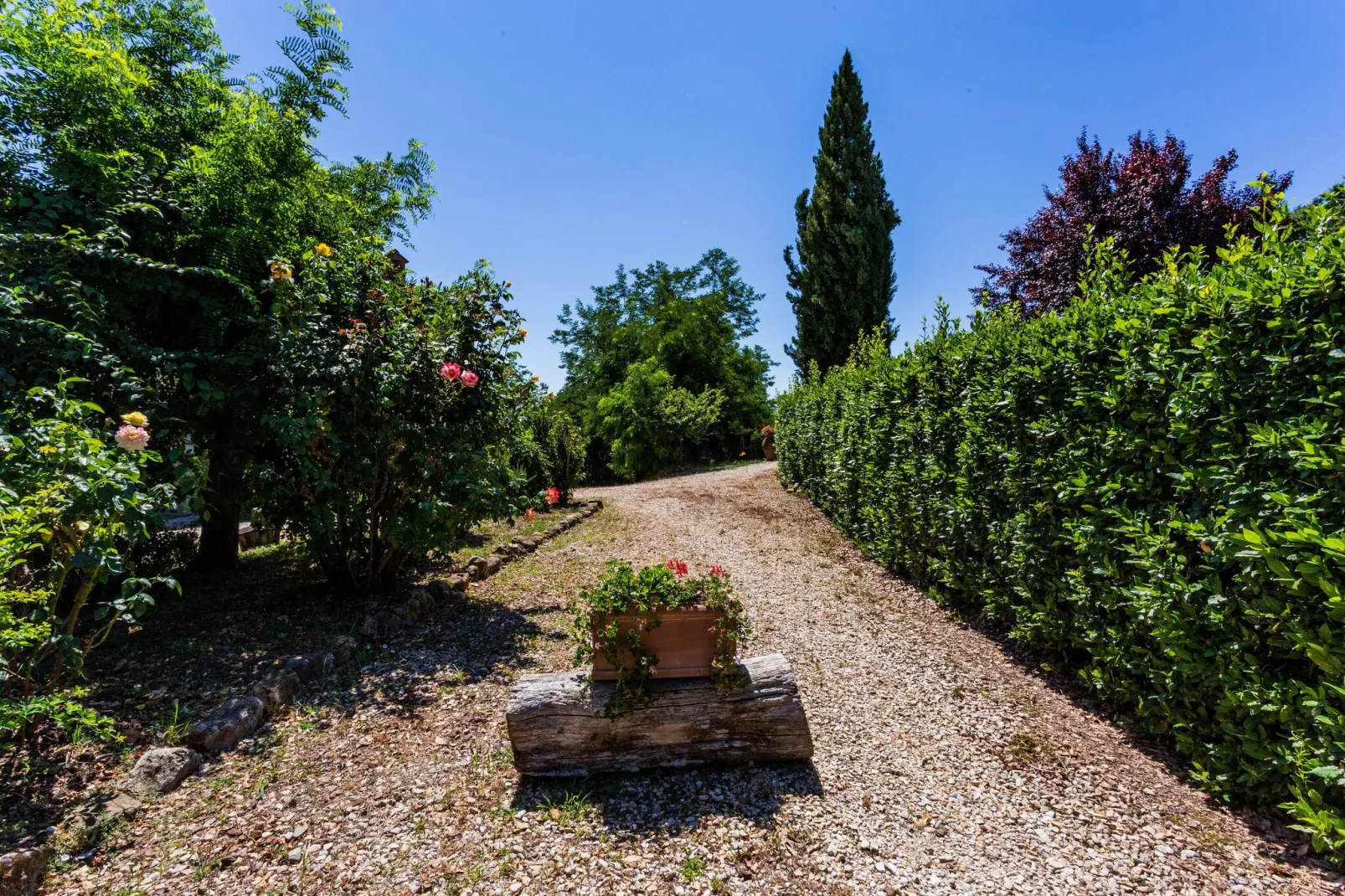 Villino Due-Gardens summer
