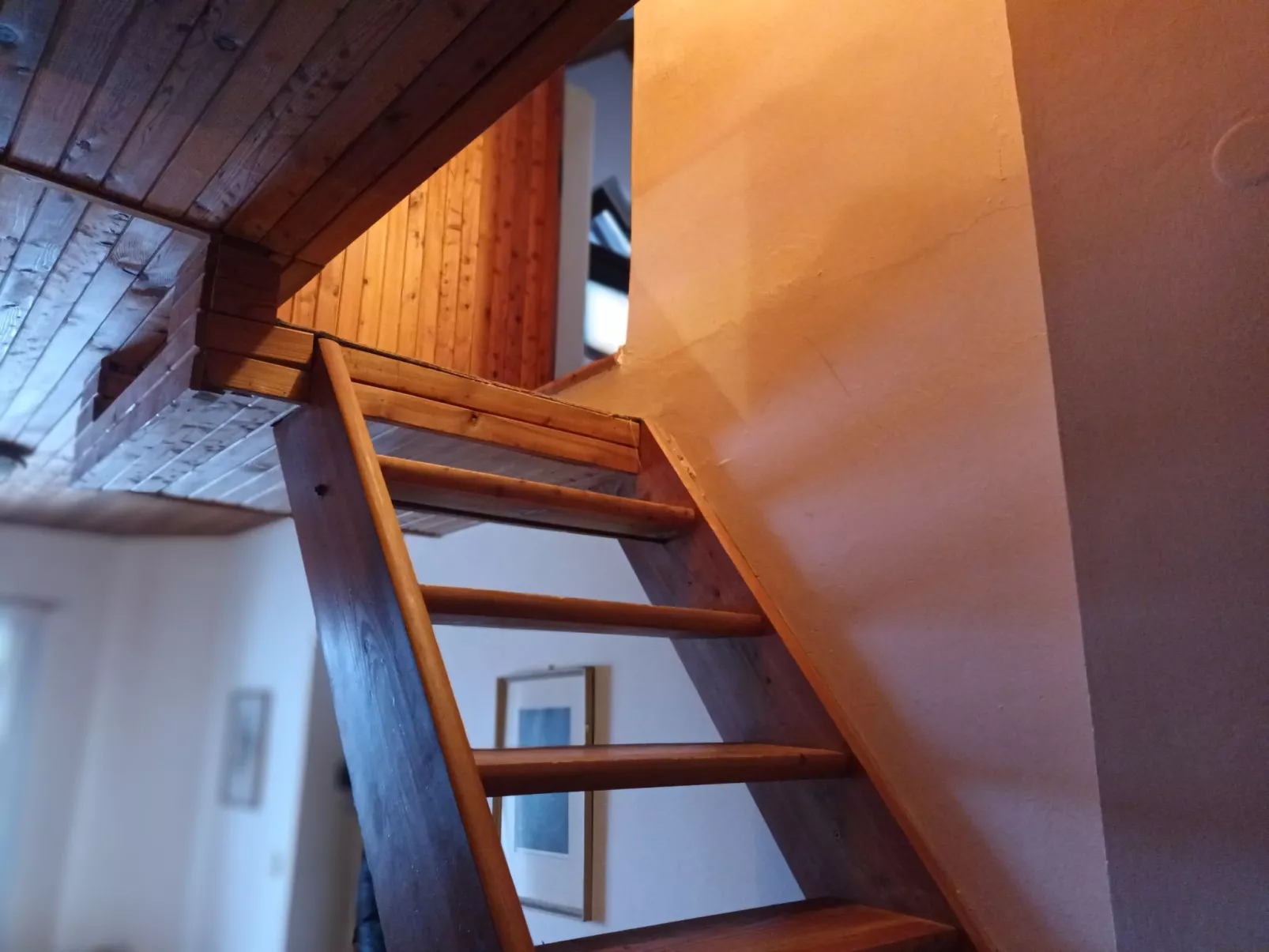 547/1-Inside