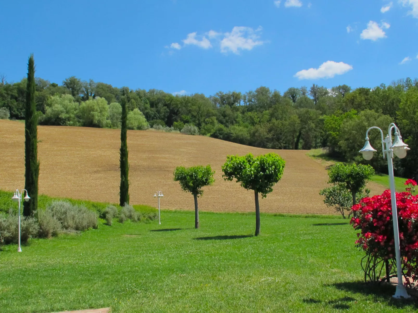 Rosmarino-Outside
