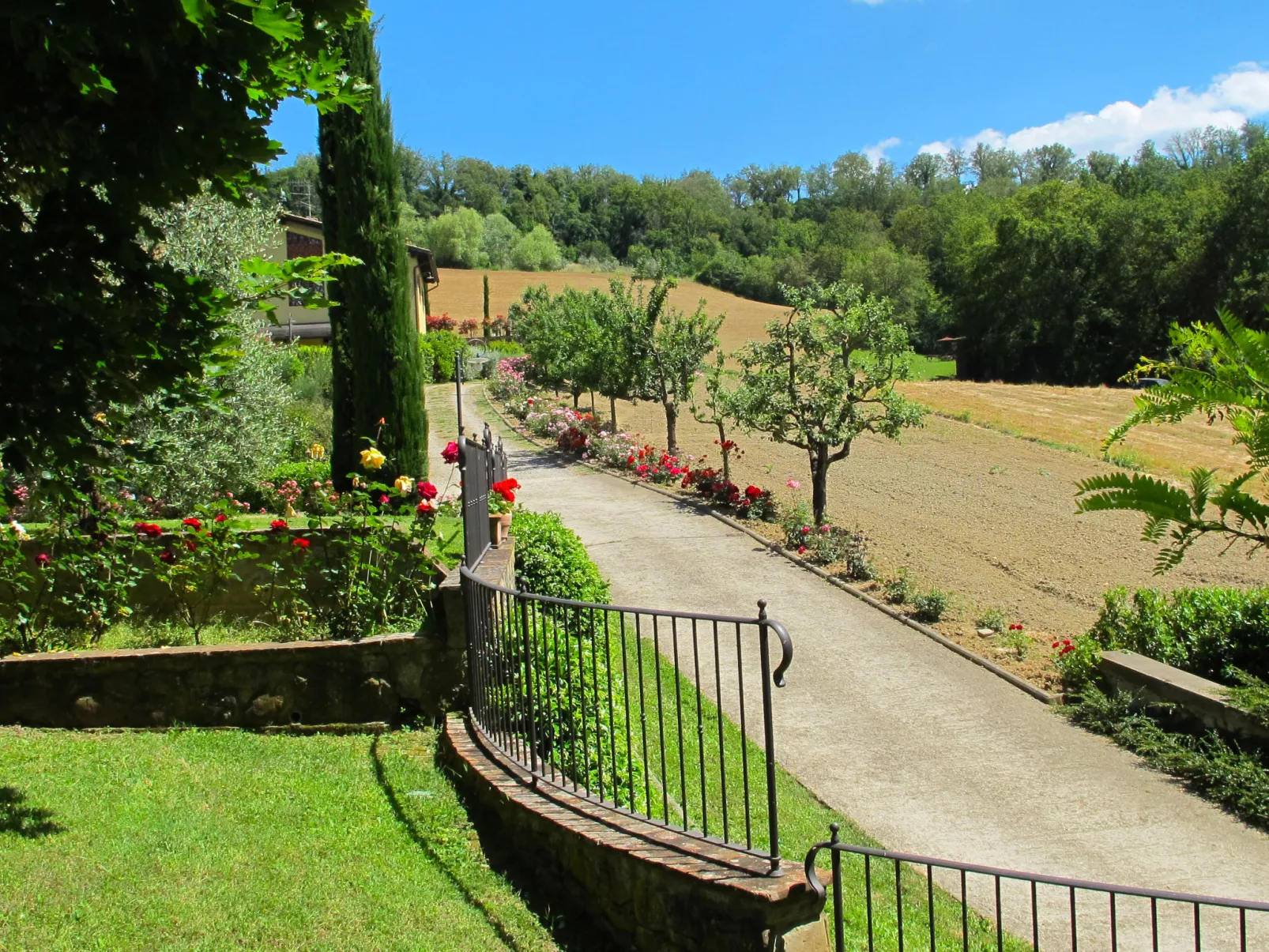 Rosmarino-Outside