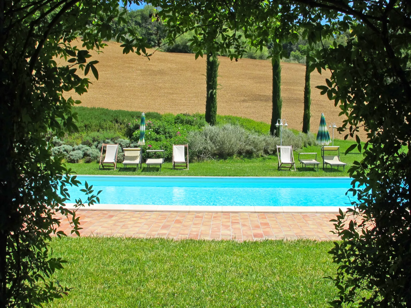 Rosmarino-Outside