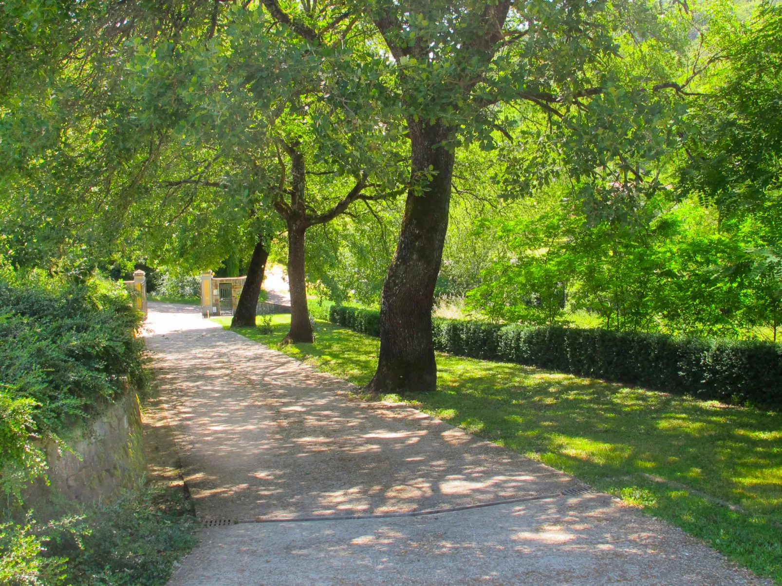 Rosmarino-Outside