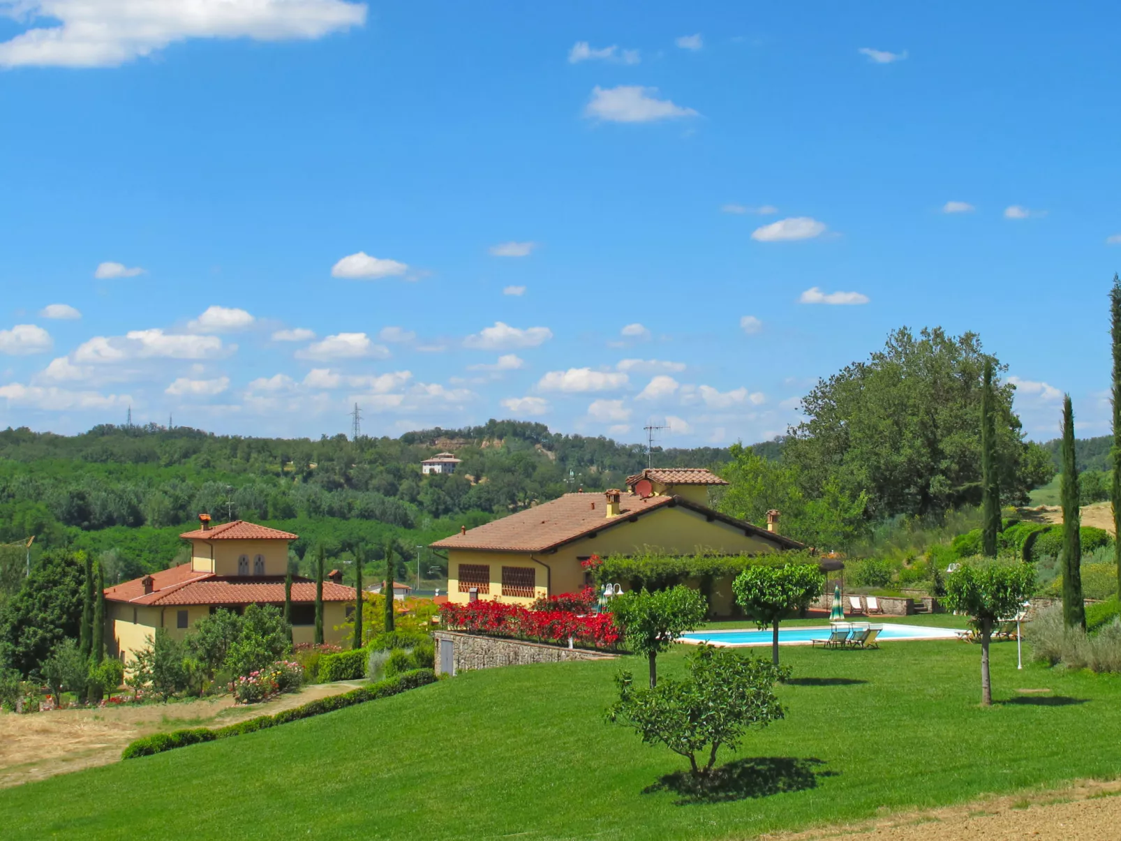 Corbezzolo-Outside