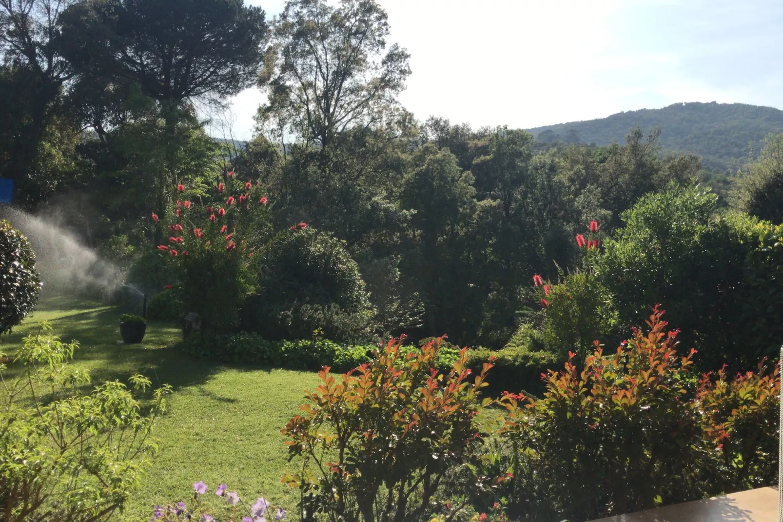 Vall Repos-Gardens summer