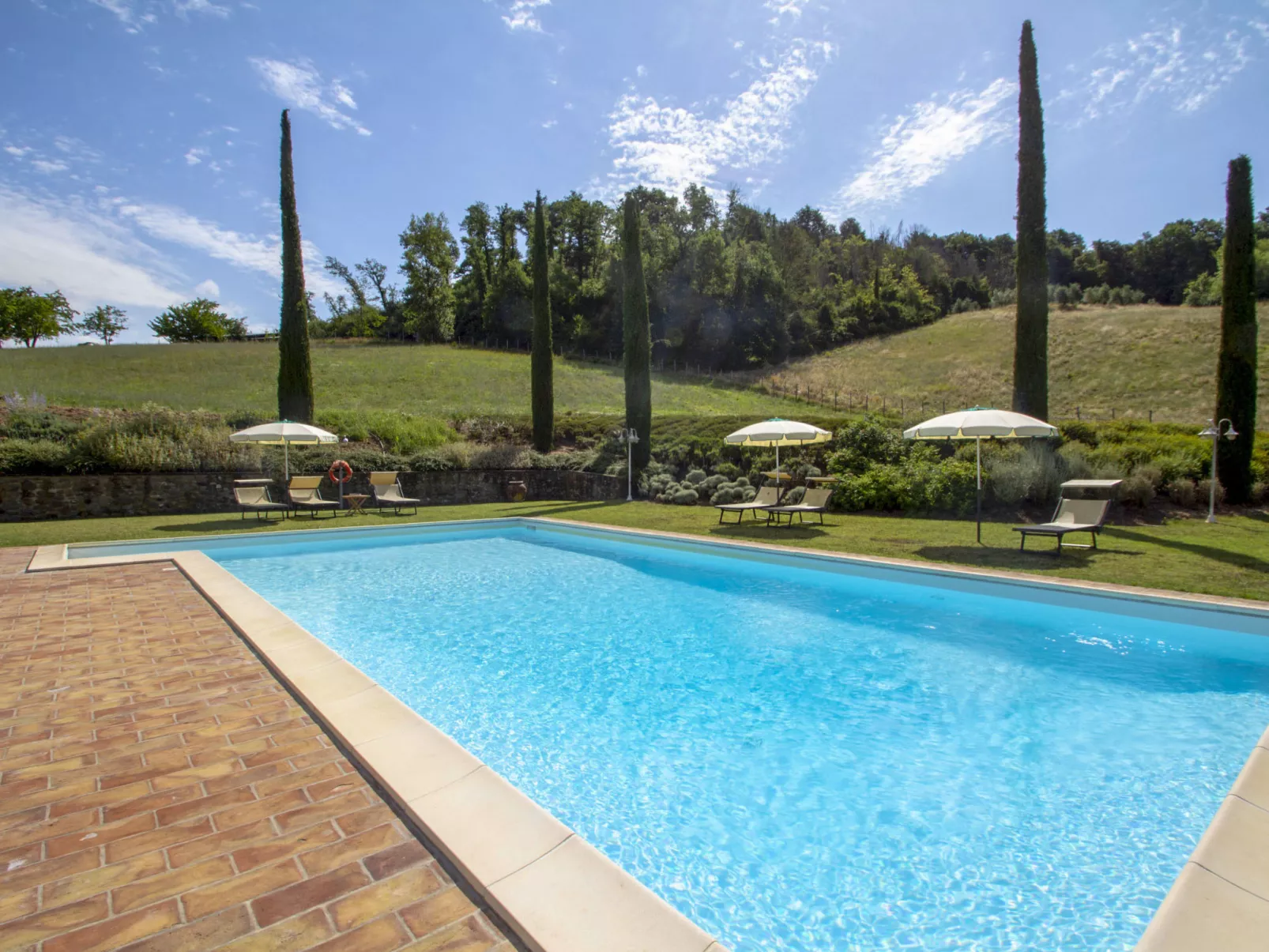 Corbezzolo-Outside