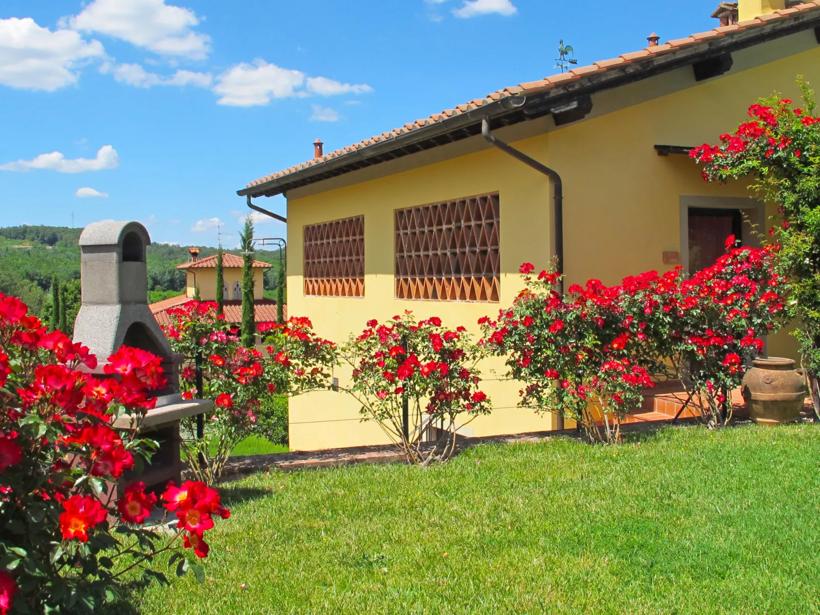 Corbezzolo-Outside