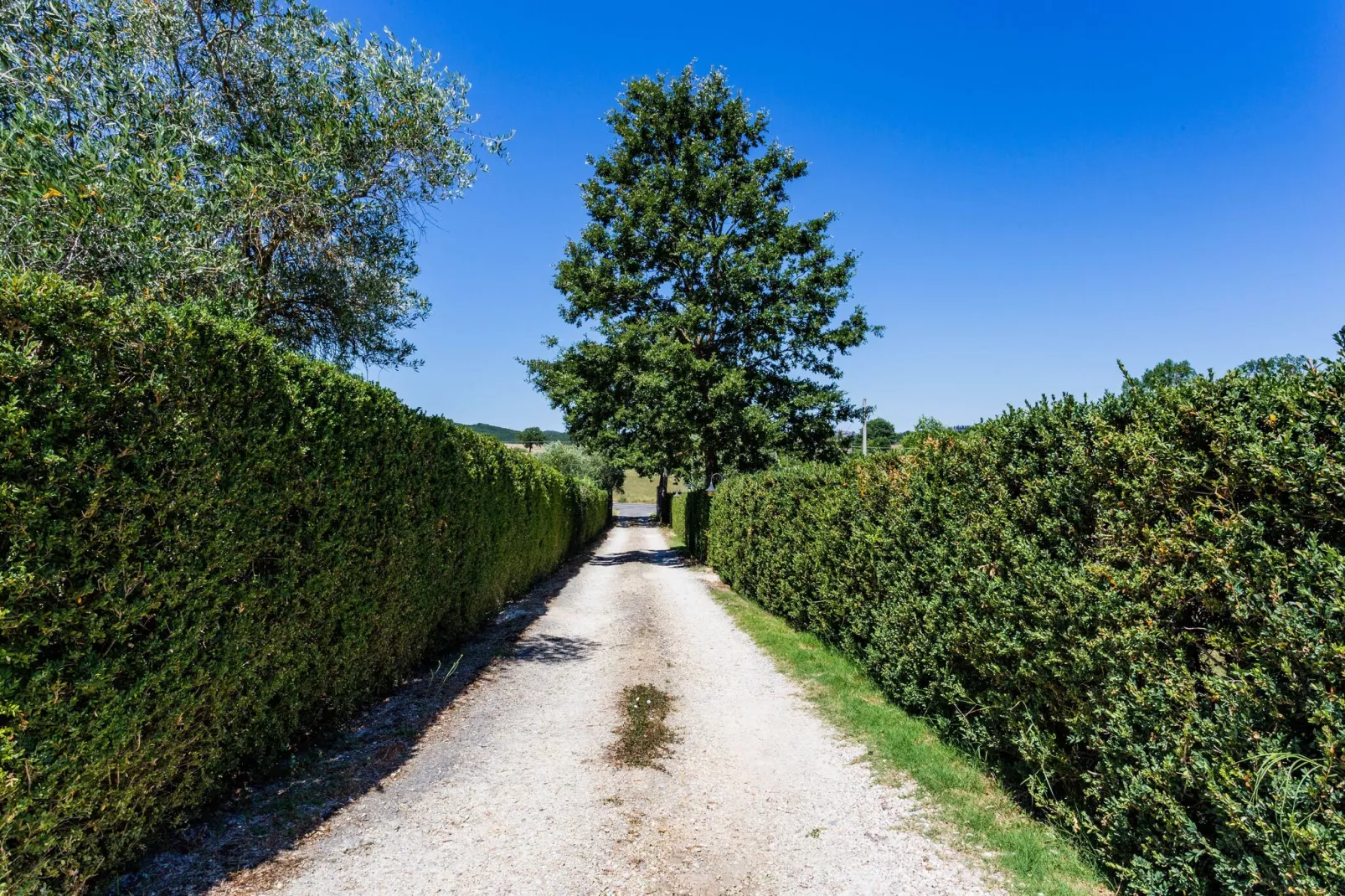 Villino Tre-Reception hall