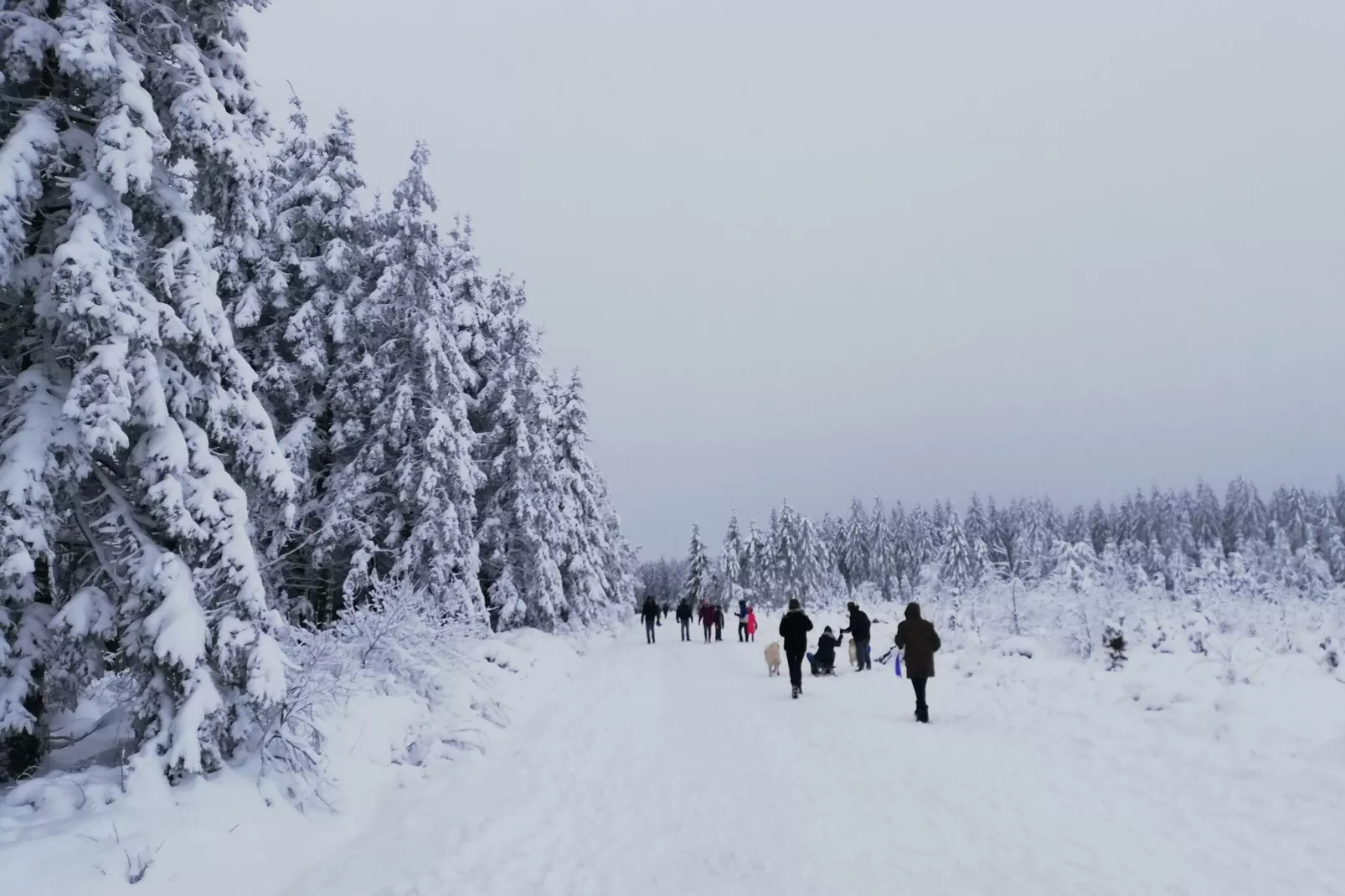 La Tourbière-Area winter 1km