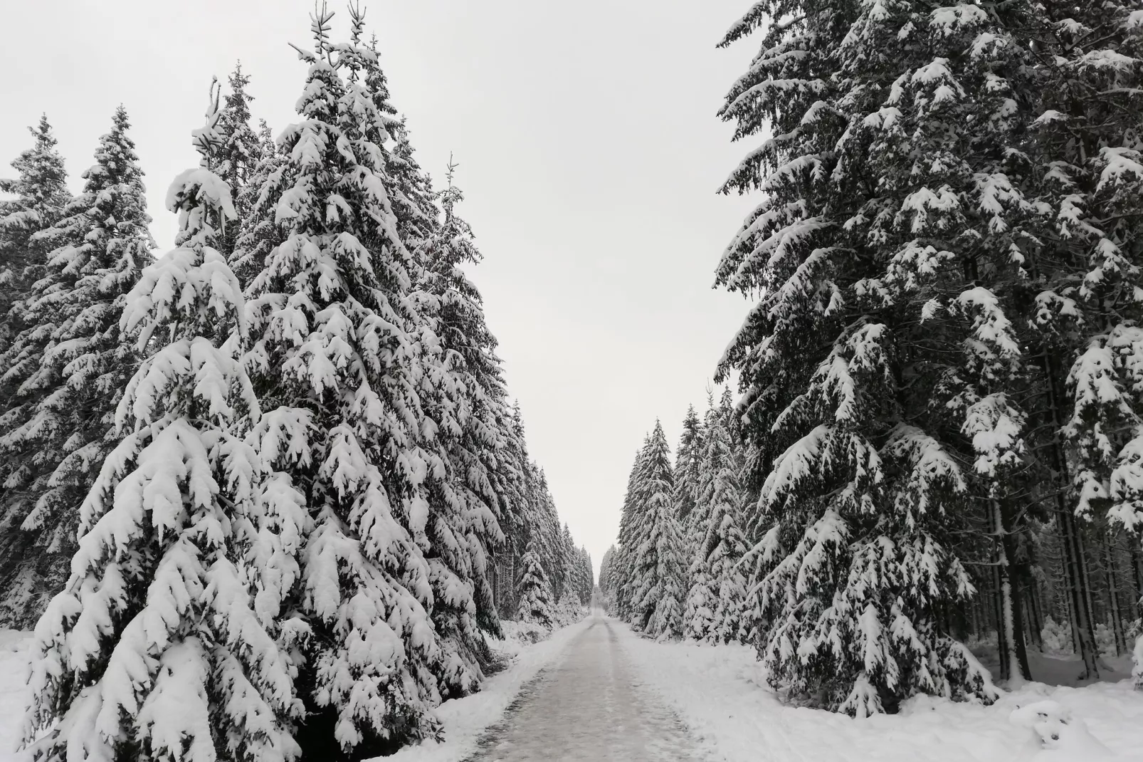 La Tourbière-Area winter 1km