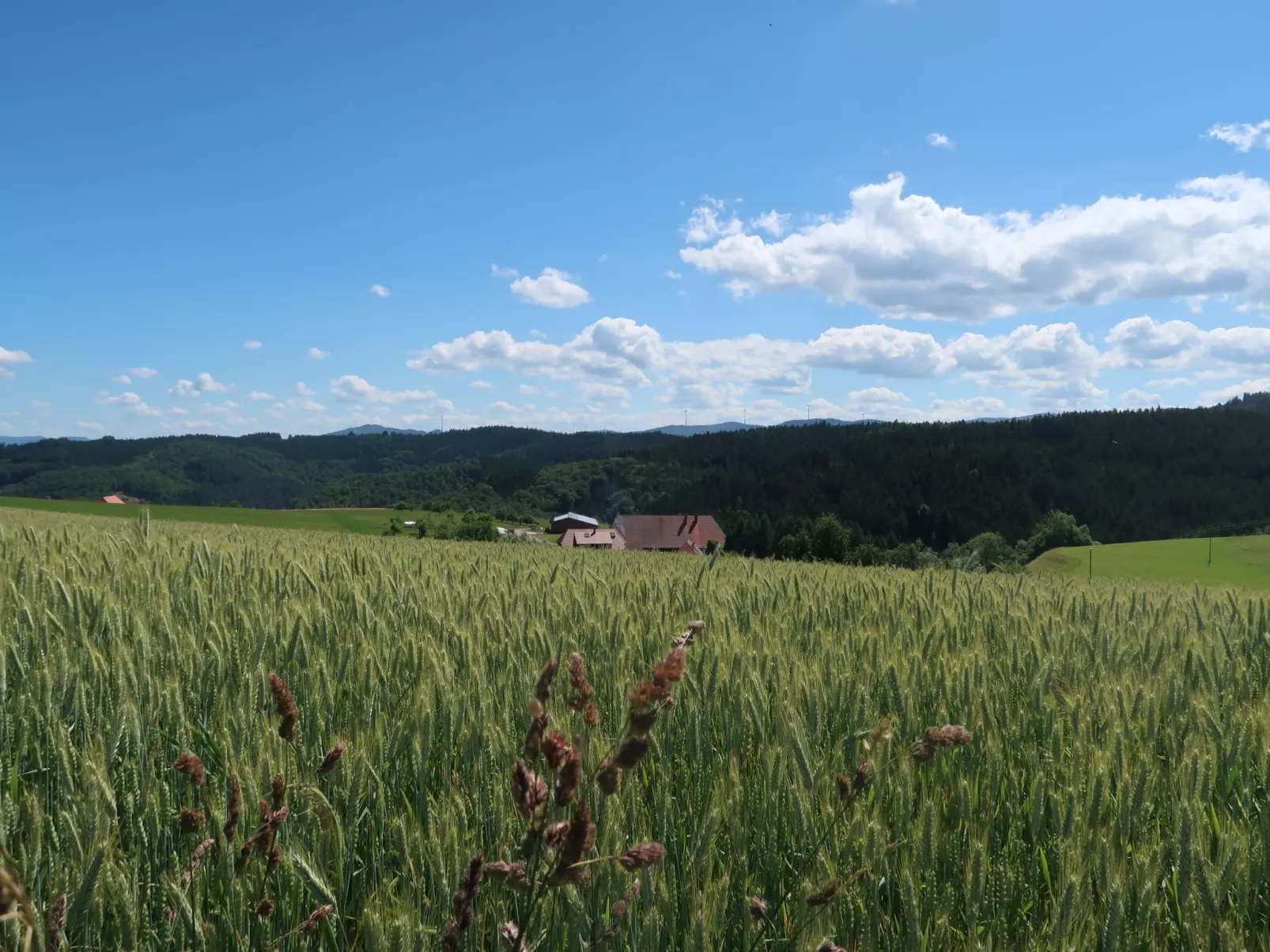 Mittelberghof-Outside